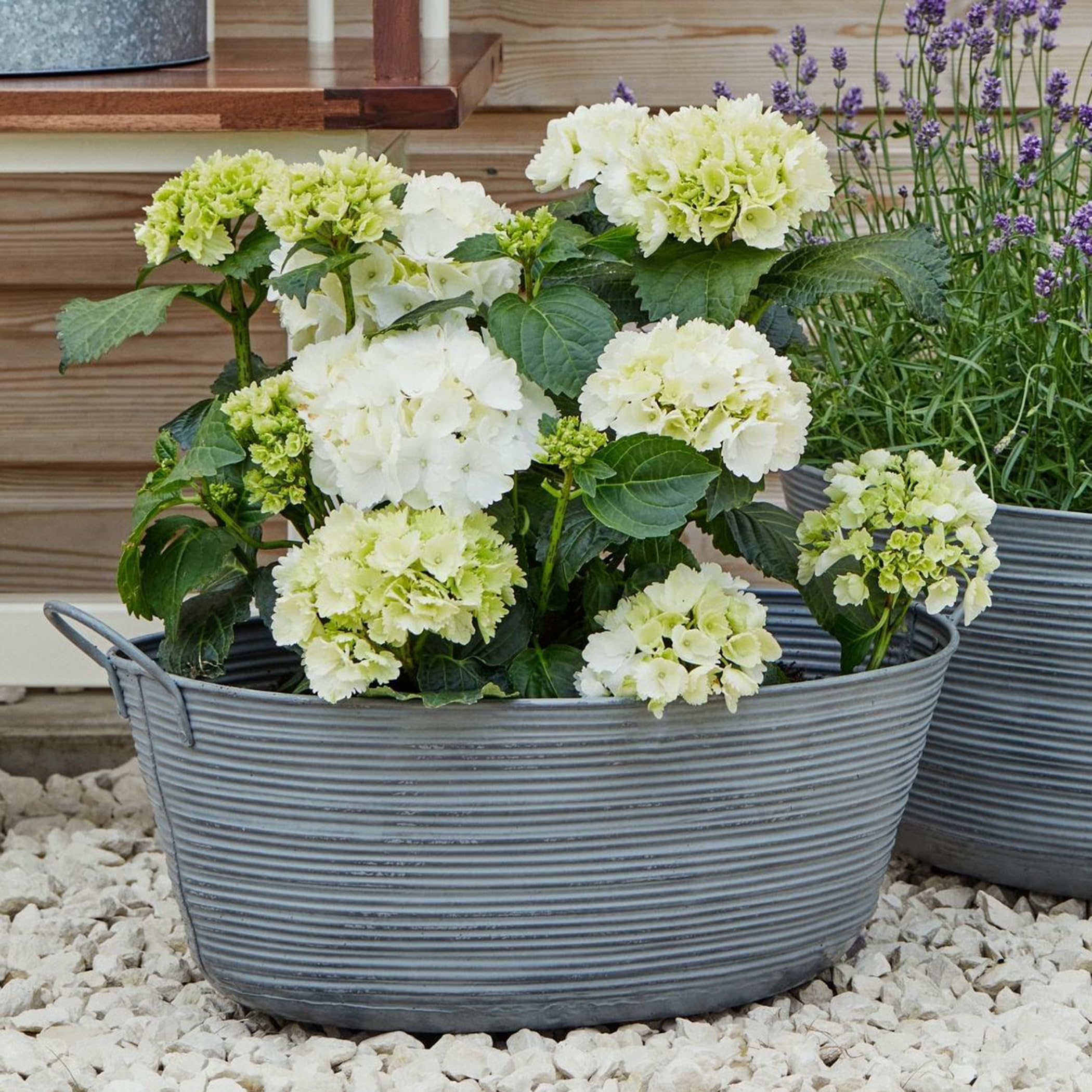 Ivyline Outdoor Matlock Oval Planter - Large