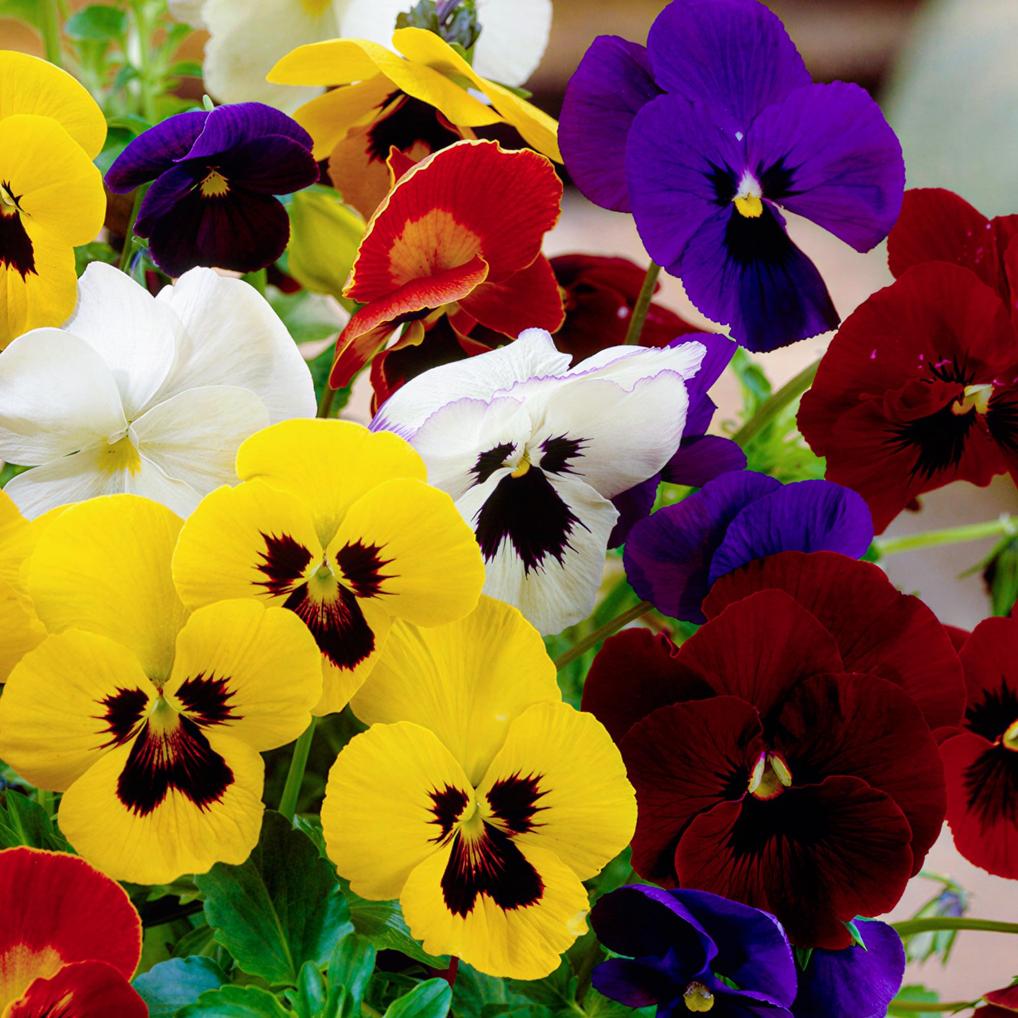 View 3