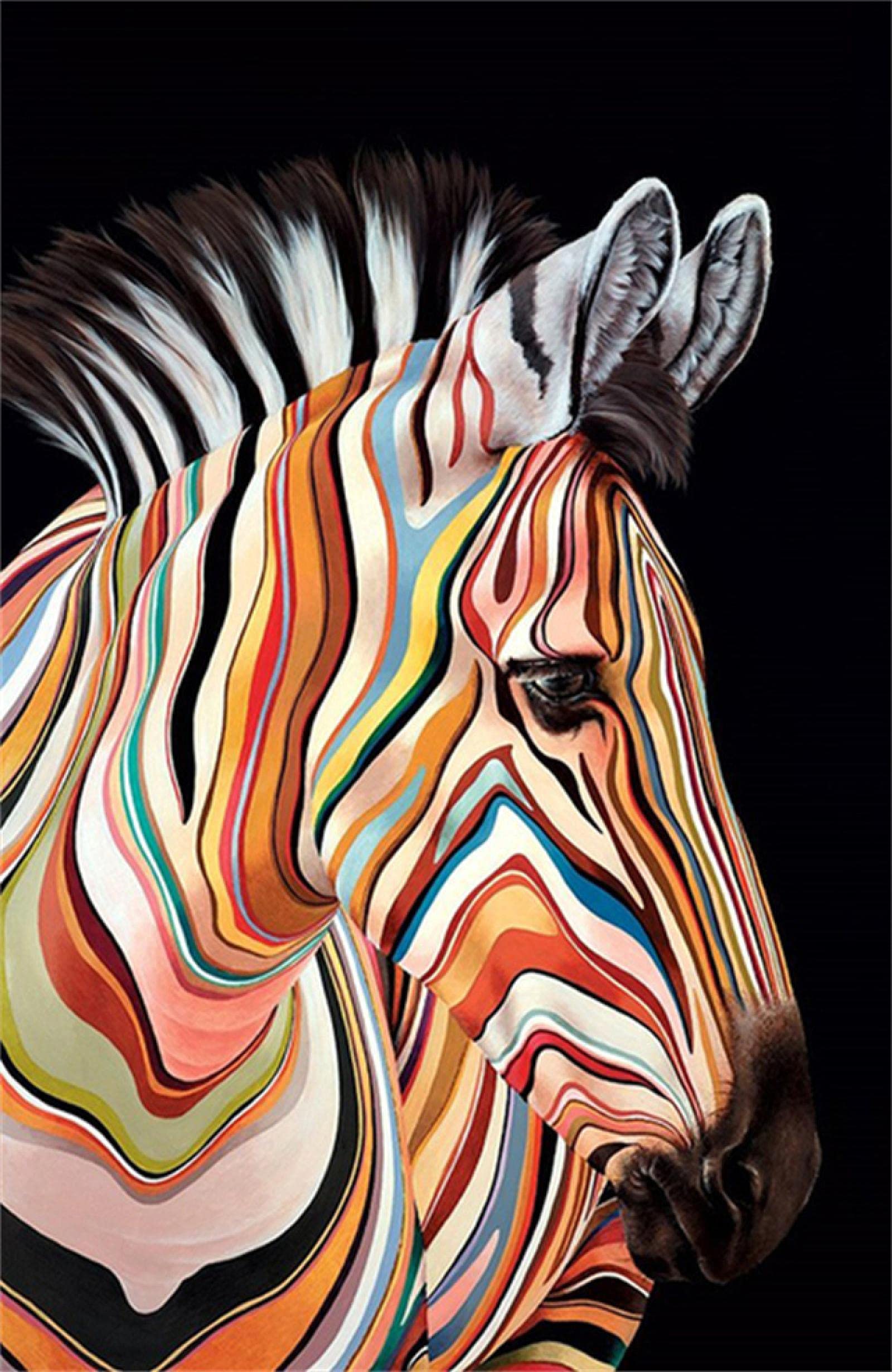 Amazon | キャンバスのポスターやプリントに落書きカラフルなシマウマ  