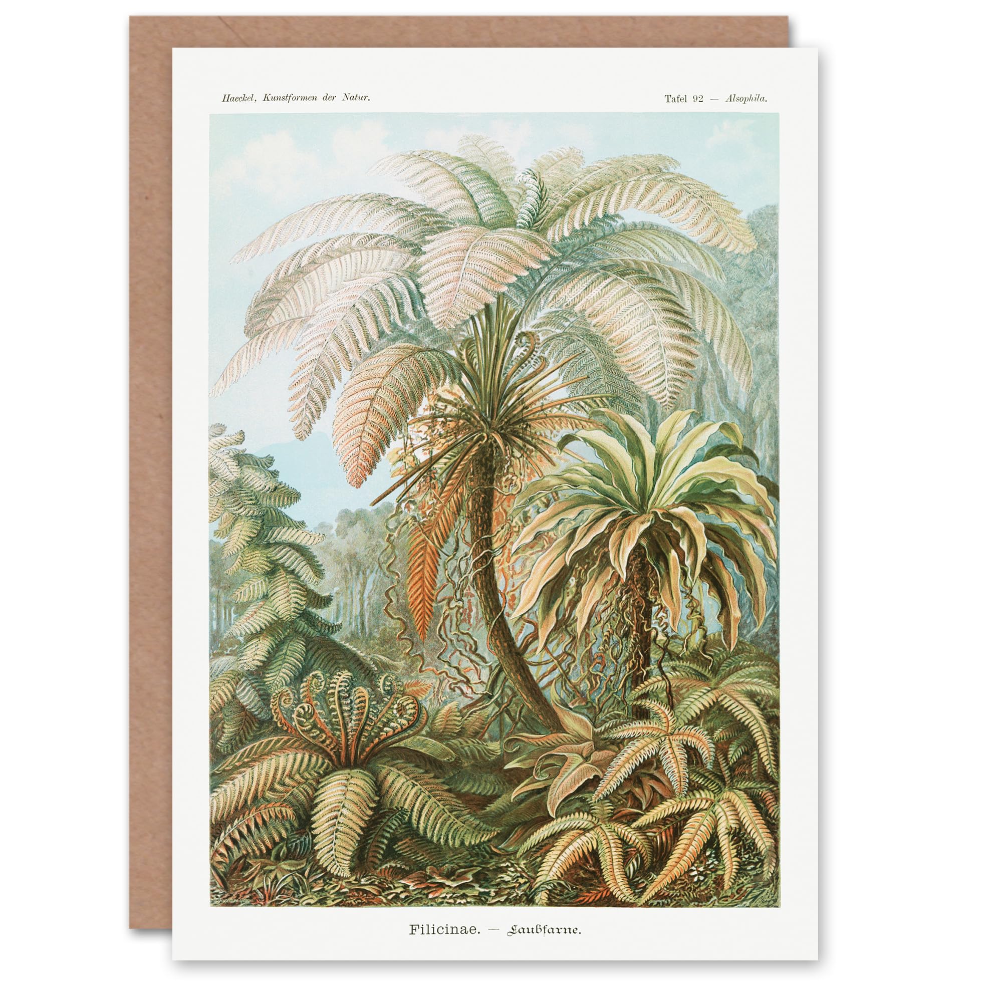 Artery8 Ernst Haeckel Art Card Tropical Nature Filicinae Fern Plants