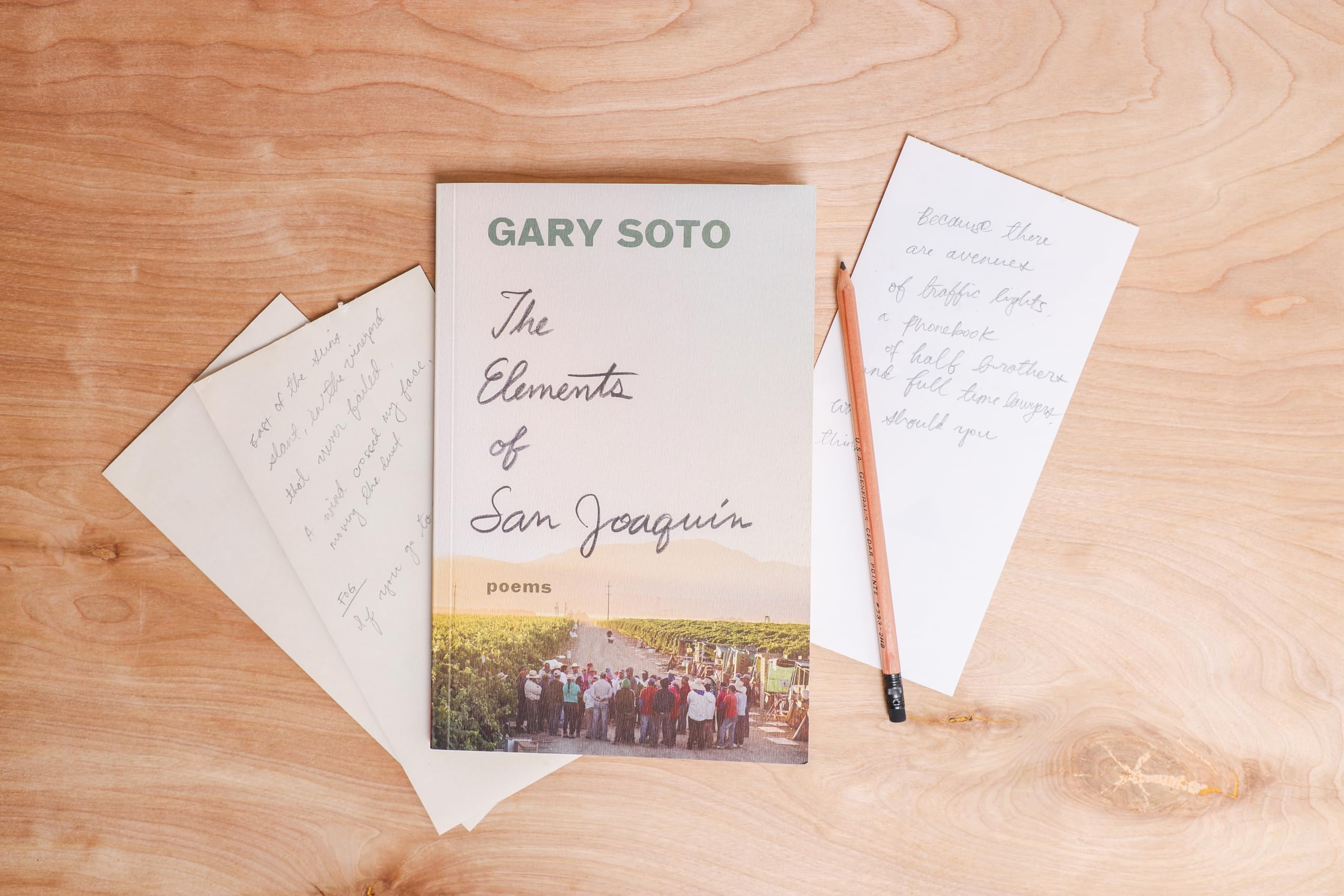 The Elements of San Joaquin: poems (Chicano Poetry, Poems from Prison, Poetry Book) - Image 8