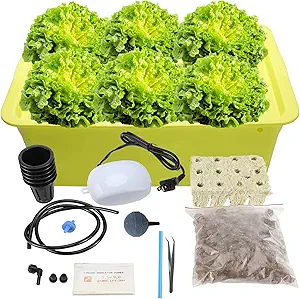 HighFree Hydroponic System Growing Kit for Plants Herb Garden Starter Set 6 Sites DIY Self Watering Indoor Hydroponics Tools with Large Bubble Stone Rockwool Bucket Air Pump (6 Sites)