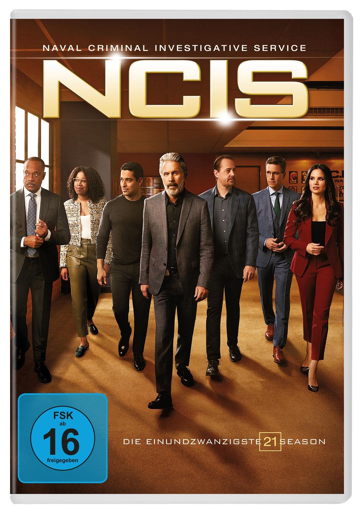 NCIS - Staffel 21 [4 DVDs]