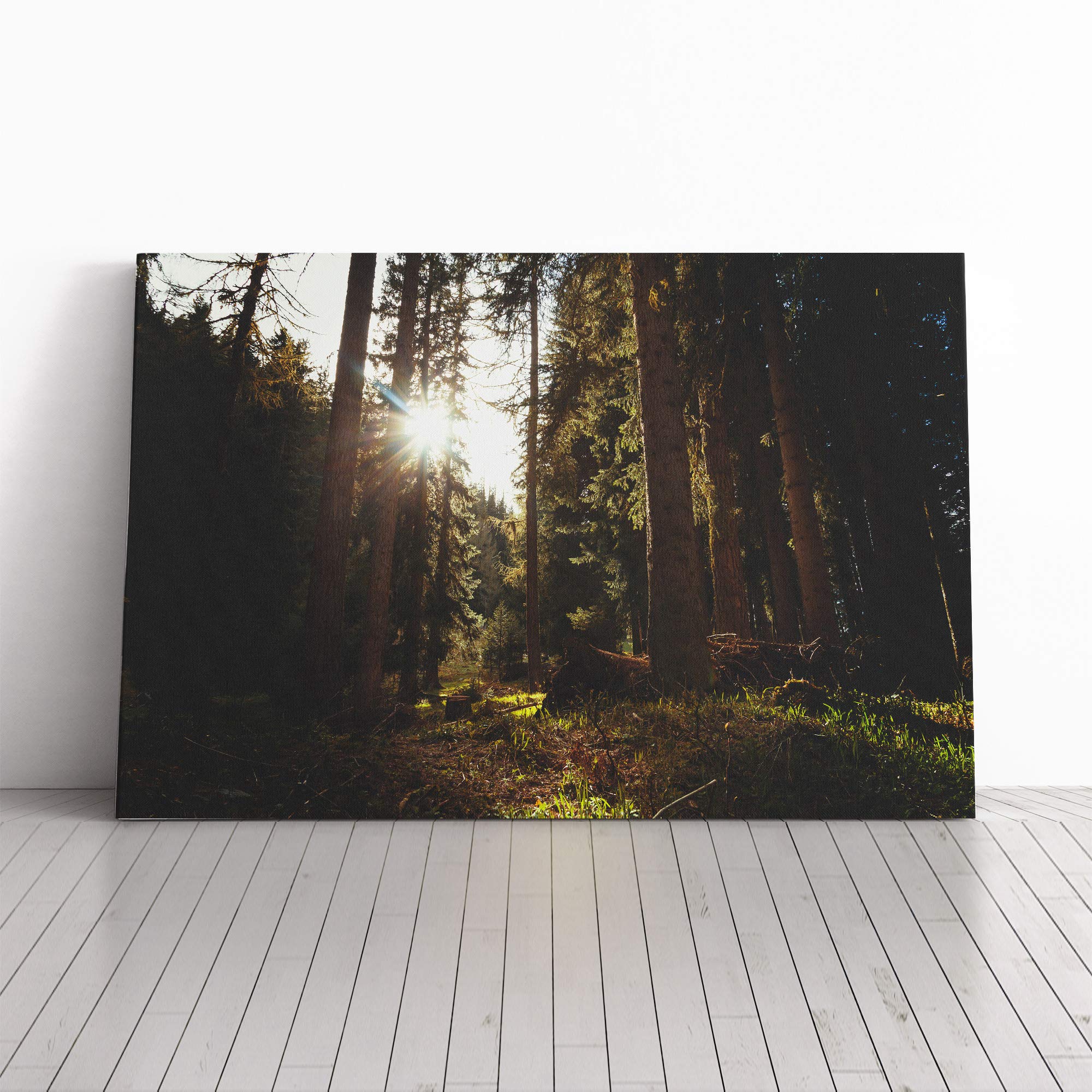 Landscape Sunlight Through Forest Woodland (6) Canvas Print | Gallery Wrapped 30mm Frame Wall Art | 30x20 inches | Ready to Hang | Modern Landscape Picture | Living Room Bedroom Lounge Office