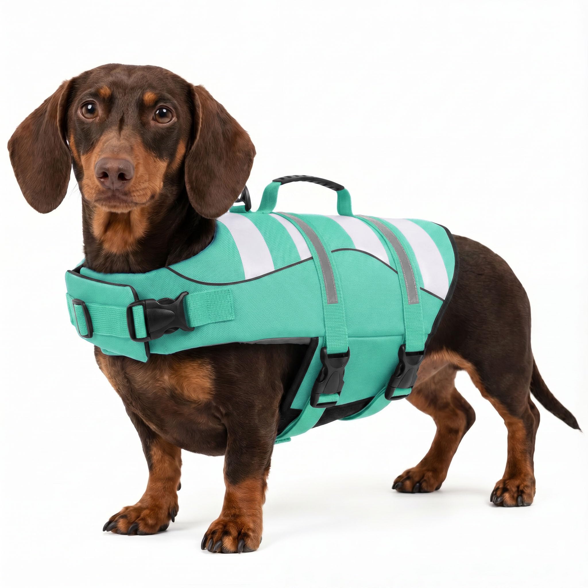 ASENKU Schwimmweste Hund,Hundeschwimmweste für Hunde – Rettungsgriff & Auftrieb, Sicherheitsweste mit verstellbarem Brustgurt + Reflektor, für Bootfahren, Baden und Wassersport