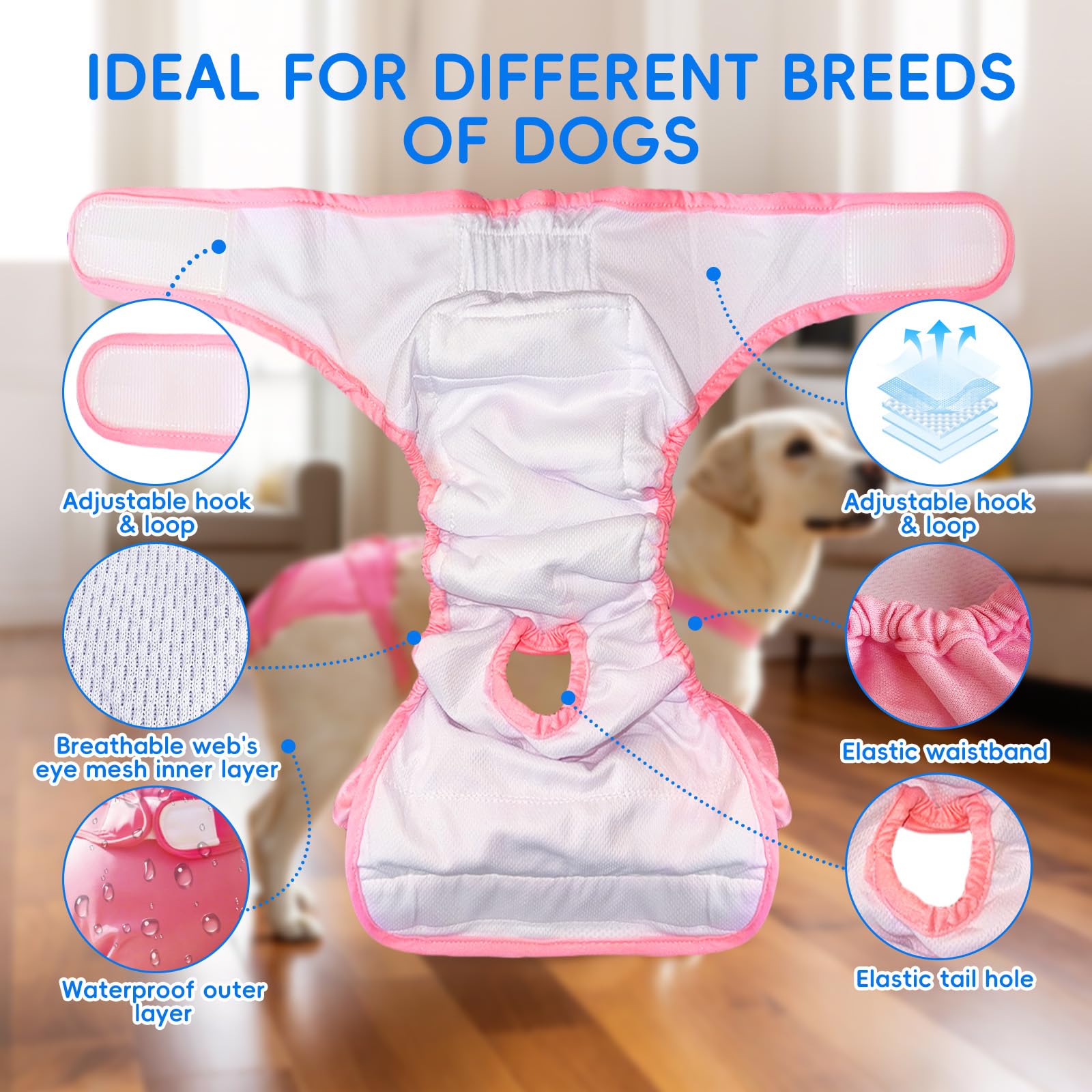 3 Pezzi Pannolini per Cani Cane Femmina Lavabili, Pannolini Cane Femmina Regolabile e Cinghie, Mutande Igieniche Animali Lavabili, Riutilizzabili, Altamente Assorbenti (XL)