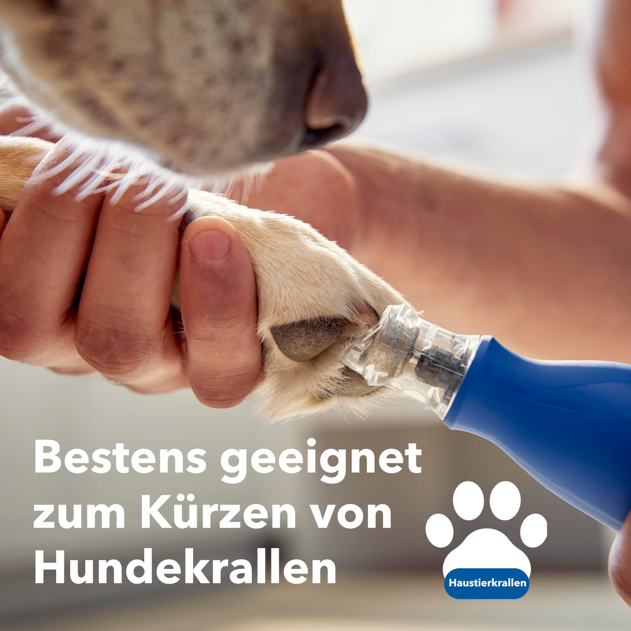 Dremel MAX Schleifstift für die Tiernagelpflege, diamantbeschichtetes Zubehör für eine schnellere Anwendung, kompatibel mit Multifunktionswerkzeugen