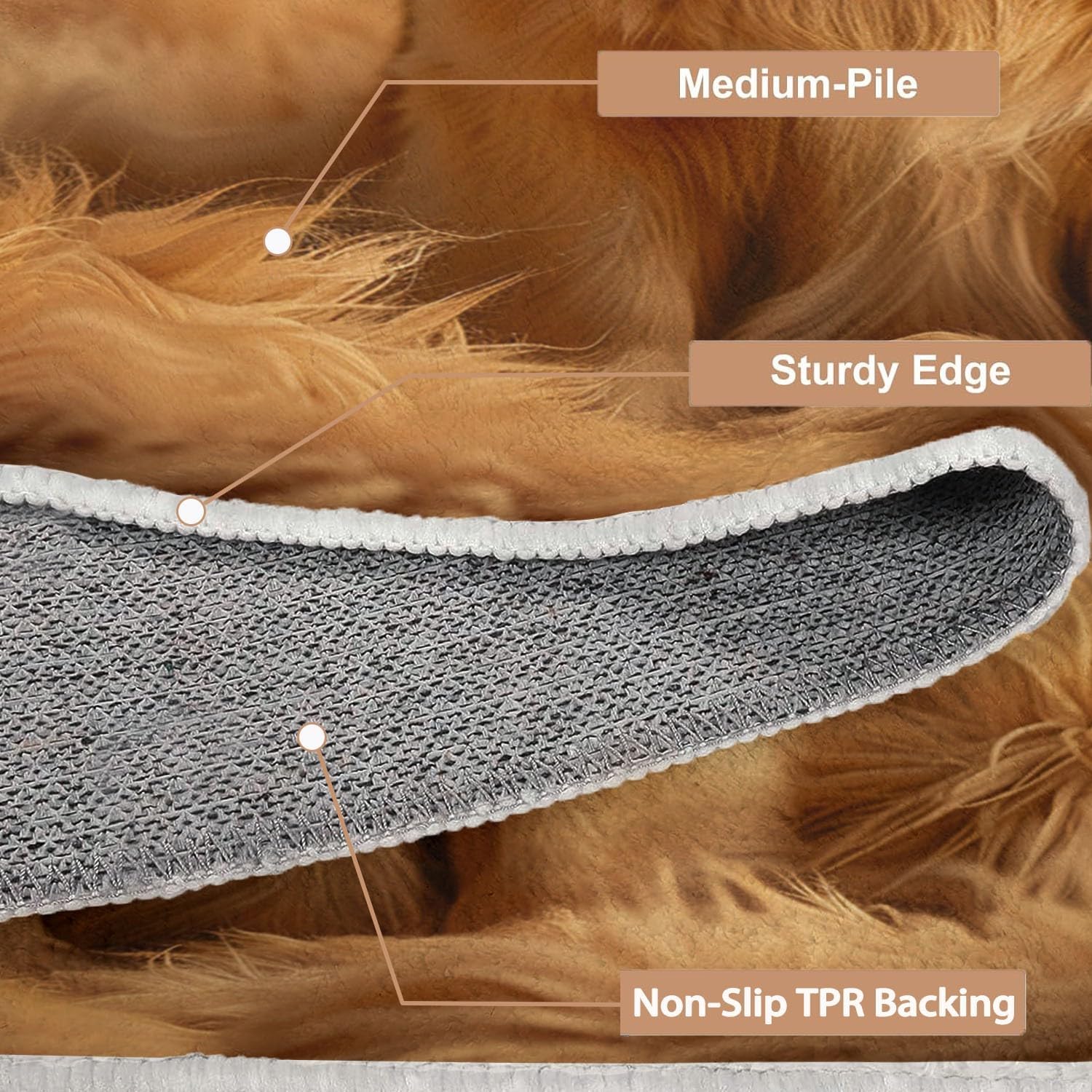 Area Rugs for Living Room Animal Dog,Golden Retriever Fluffy Rug Soft Flannel, Rug Floor Carpet with Durable Anti Slip Backing, Carpet Runners Ideal for Bedroom and Nursery 2 x 3 ft