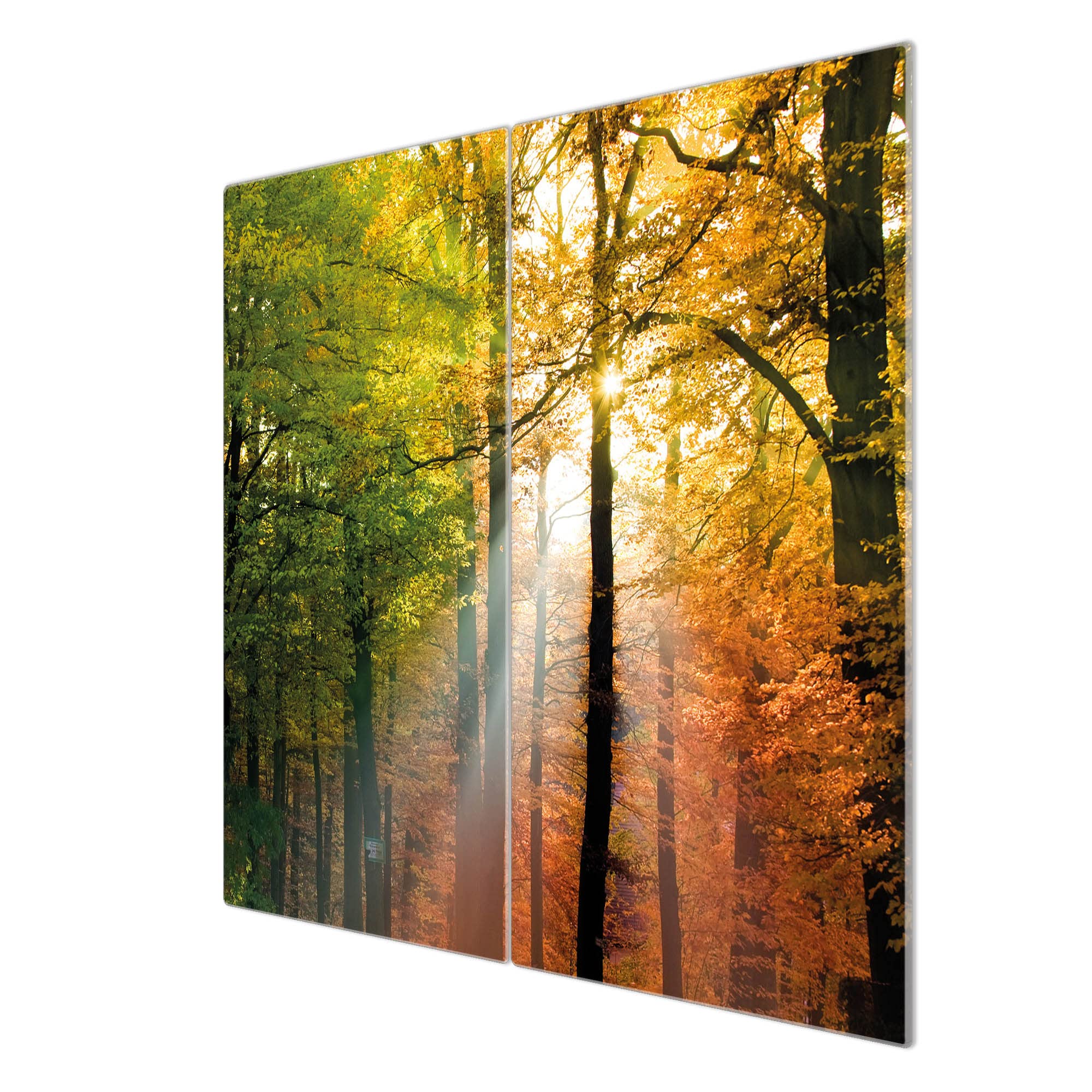 banjado Glas Herdabdeckplatte 2-teilig 60x52 cm, Abdeckung Herdplatte und Schneidebrett Glas aus gehärtetem Glas, zuverlässiger Spritzschutz Küche Natur & Wald mit Motiv Herbstwald