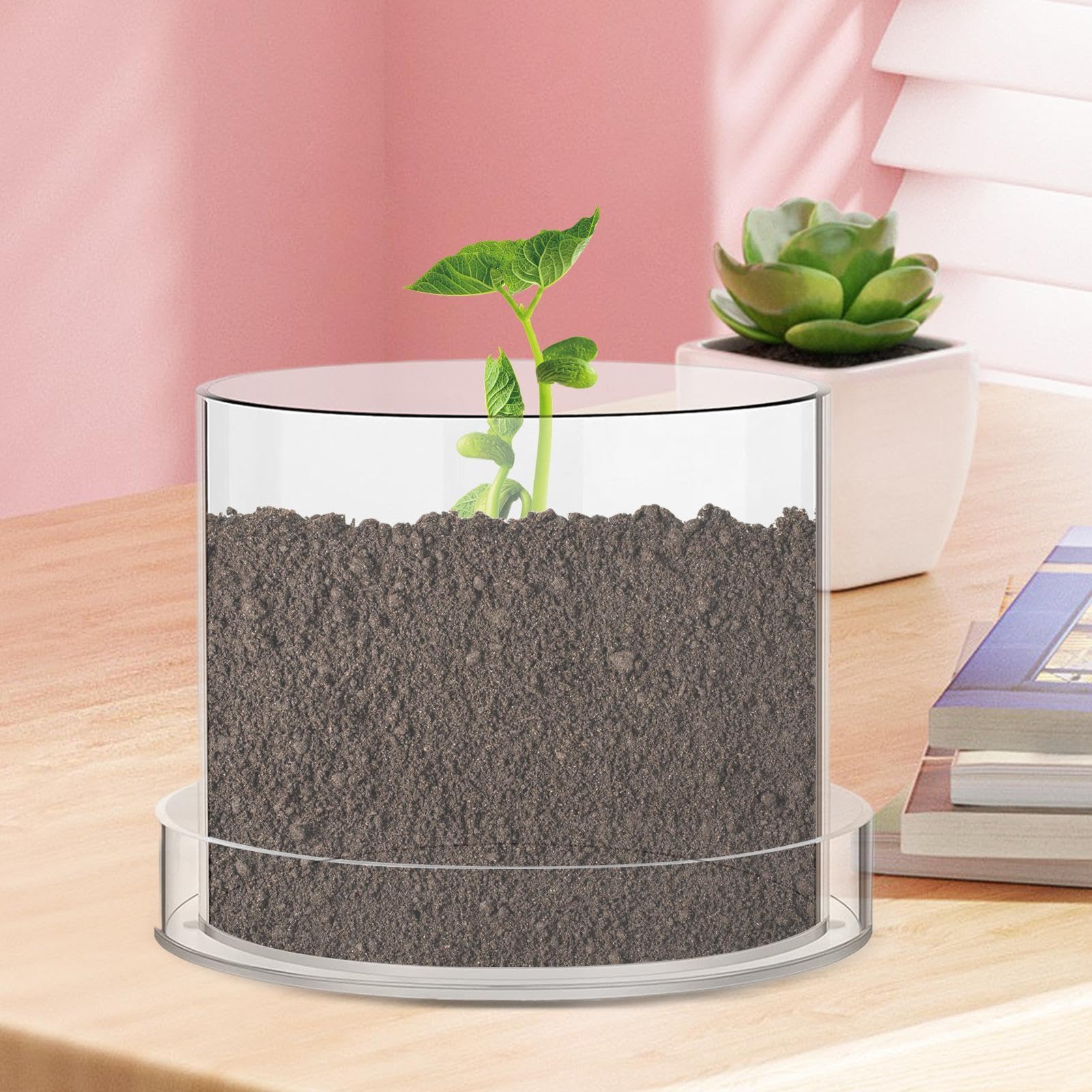 Pots Pour Transparents Avec Drainage Godets de en acrylique réutilisables