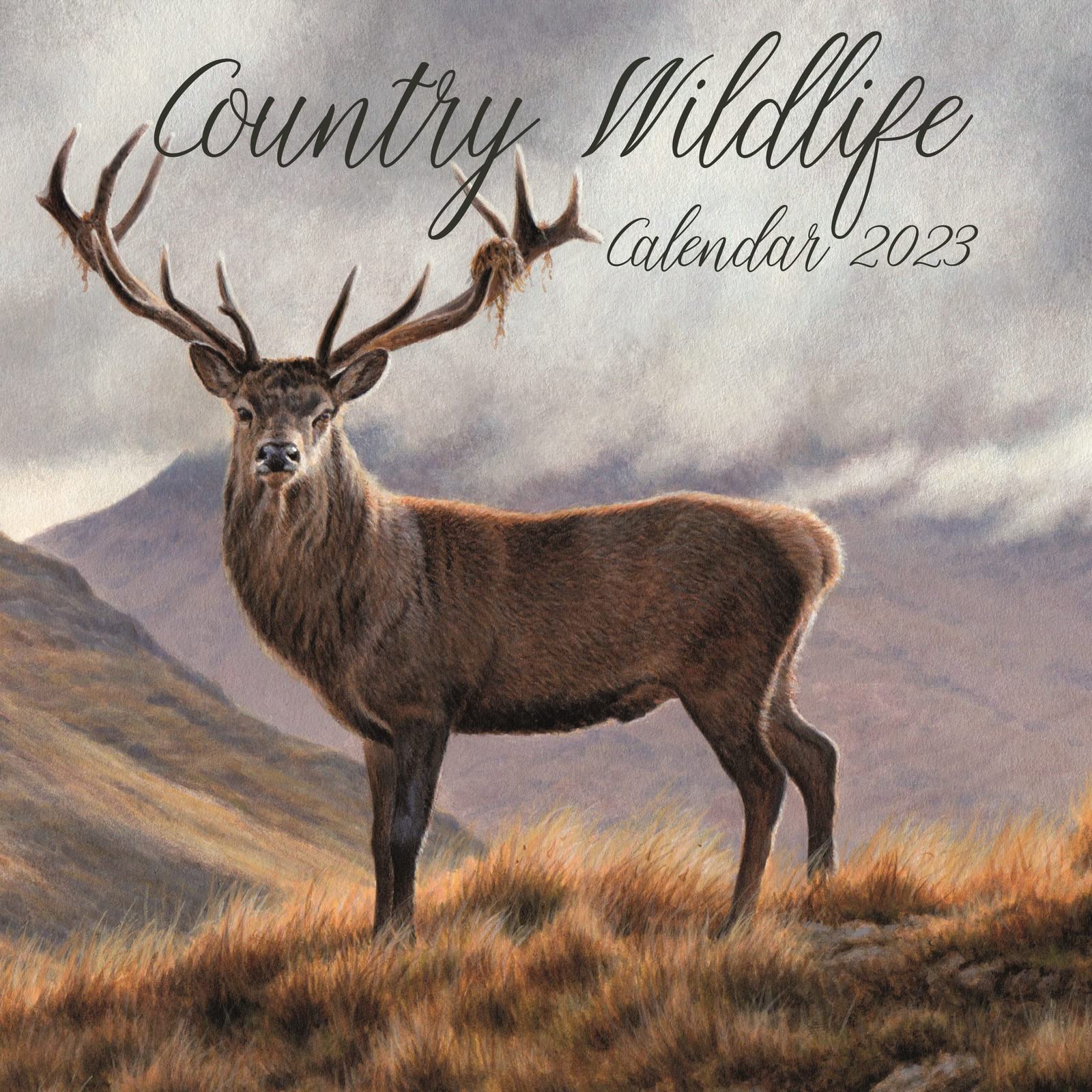 Photo 1 of 2023 Square Wall Calendar, Country Wildlife, 16-Month Animals Theme with 180 Reminder Stickers (12 x 12 In)