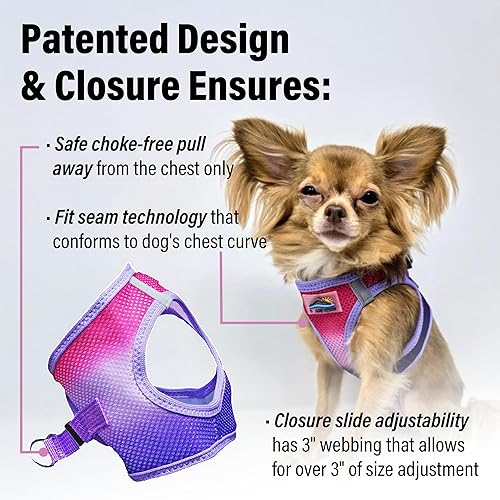 Vista 172 de DOGGIE DESIGN American River - Arnés para perro de la colección ombré, color frambuesa (S (circunferencia de 13 a 16 pulgadas)