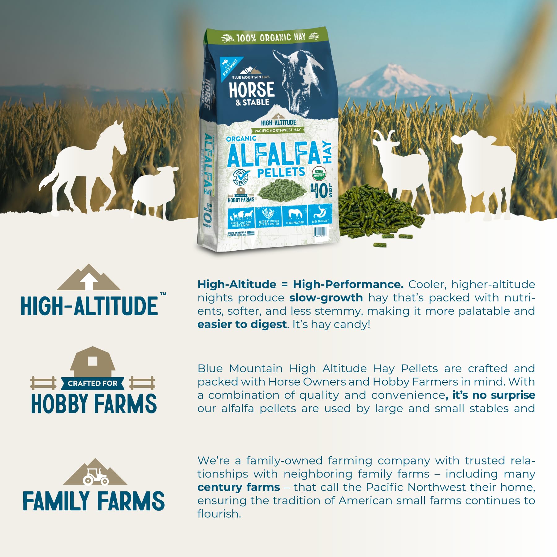 Blue Mountain Hay Pellet di fieno ad alta quota | Qualità premium, conveniente, a bassa polvere, denso di nutrienti | Ideale per cavalli, bovini, capre, conigli e altri piccoli animali (18,1 kg, erba