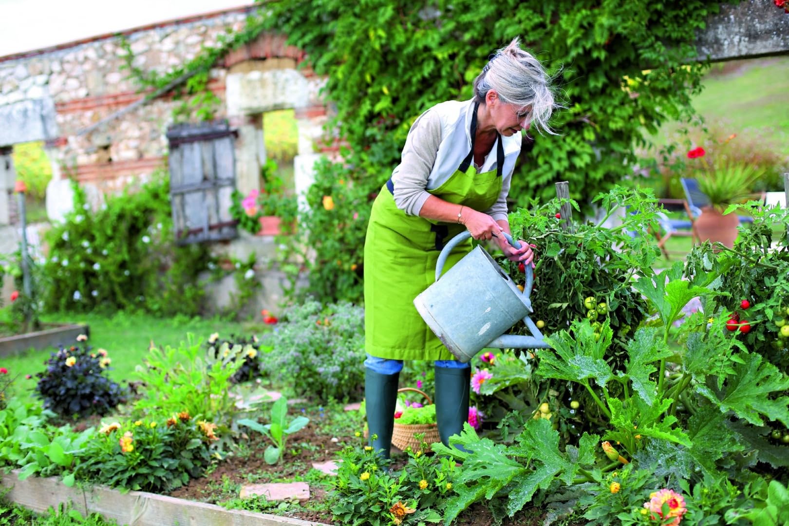 Blumendnger Staudendnger Dnger Fr Blumen Gartenblumen Pflanzendnger  NPK 2kg : Amazon.de: Garten