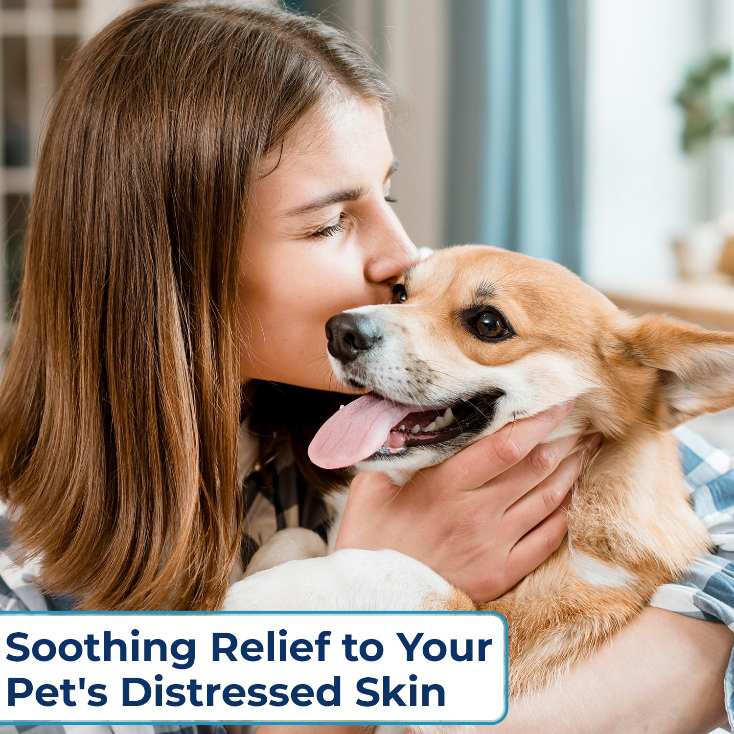 Replenish Anti Itch Dog Shampoo with Ketoconazole and Chlorhexidine for Dog Skin Irritation Treatment & Itchy Skin Relief - Dr. Rachel’s Veterinary Formula Dog Shampoo with Cucumber Melon Scent - 8 oz