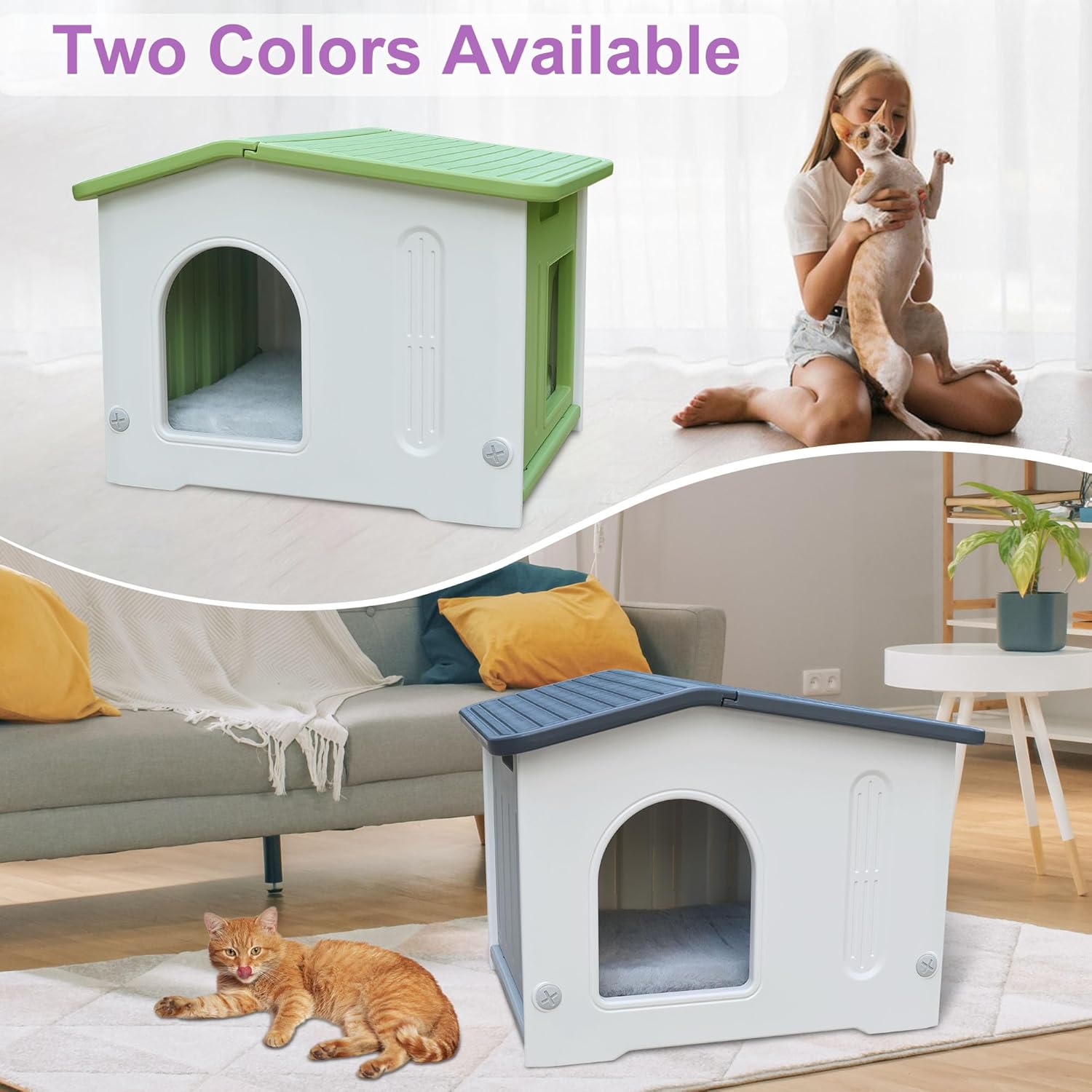 https://m.media-amazon.com/images/I/81O4k6wOOTL._AC_SL1500_.jpg