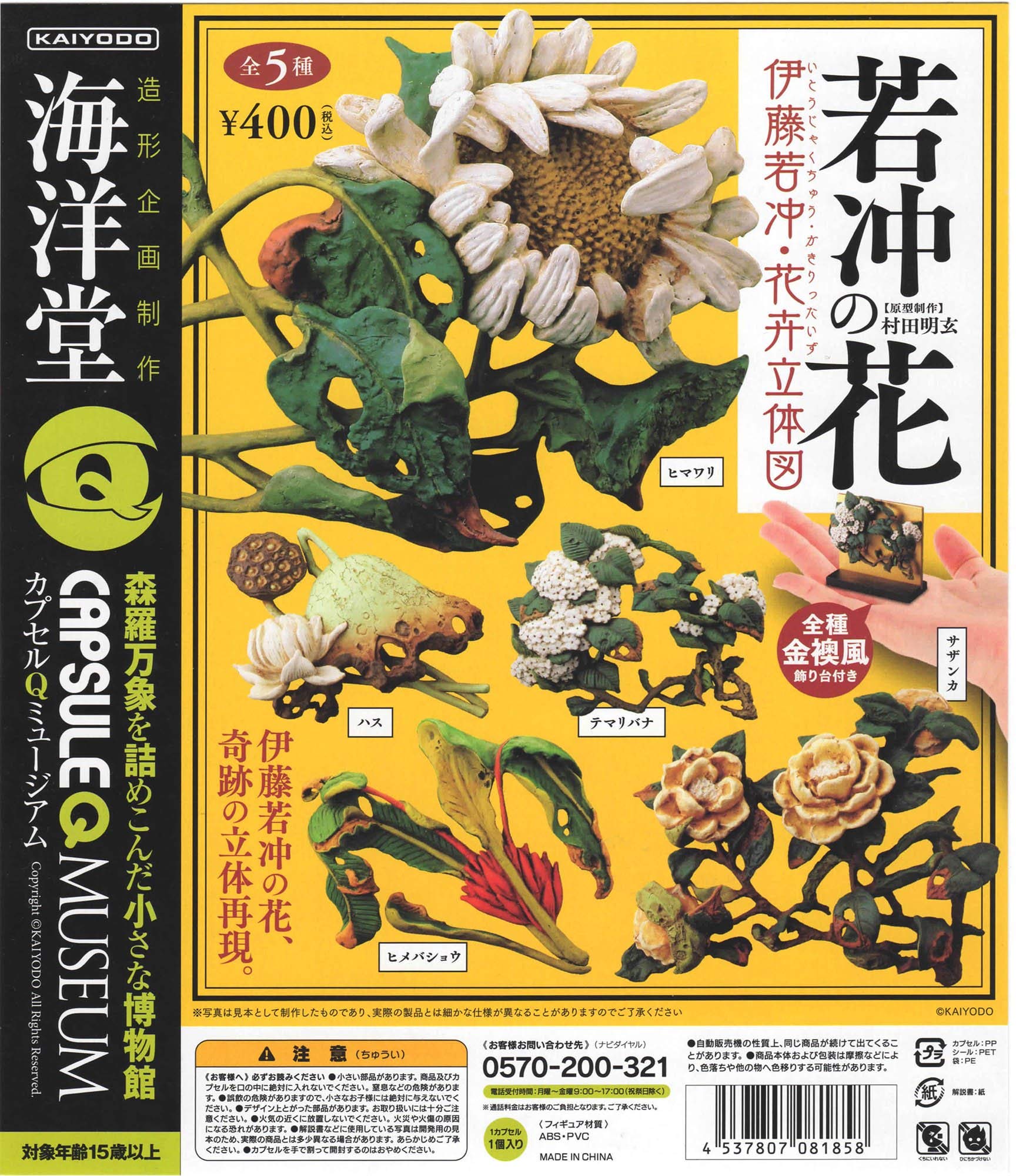 伊藤若冲重箱のみ3段