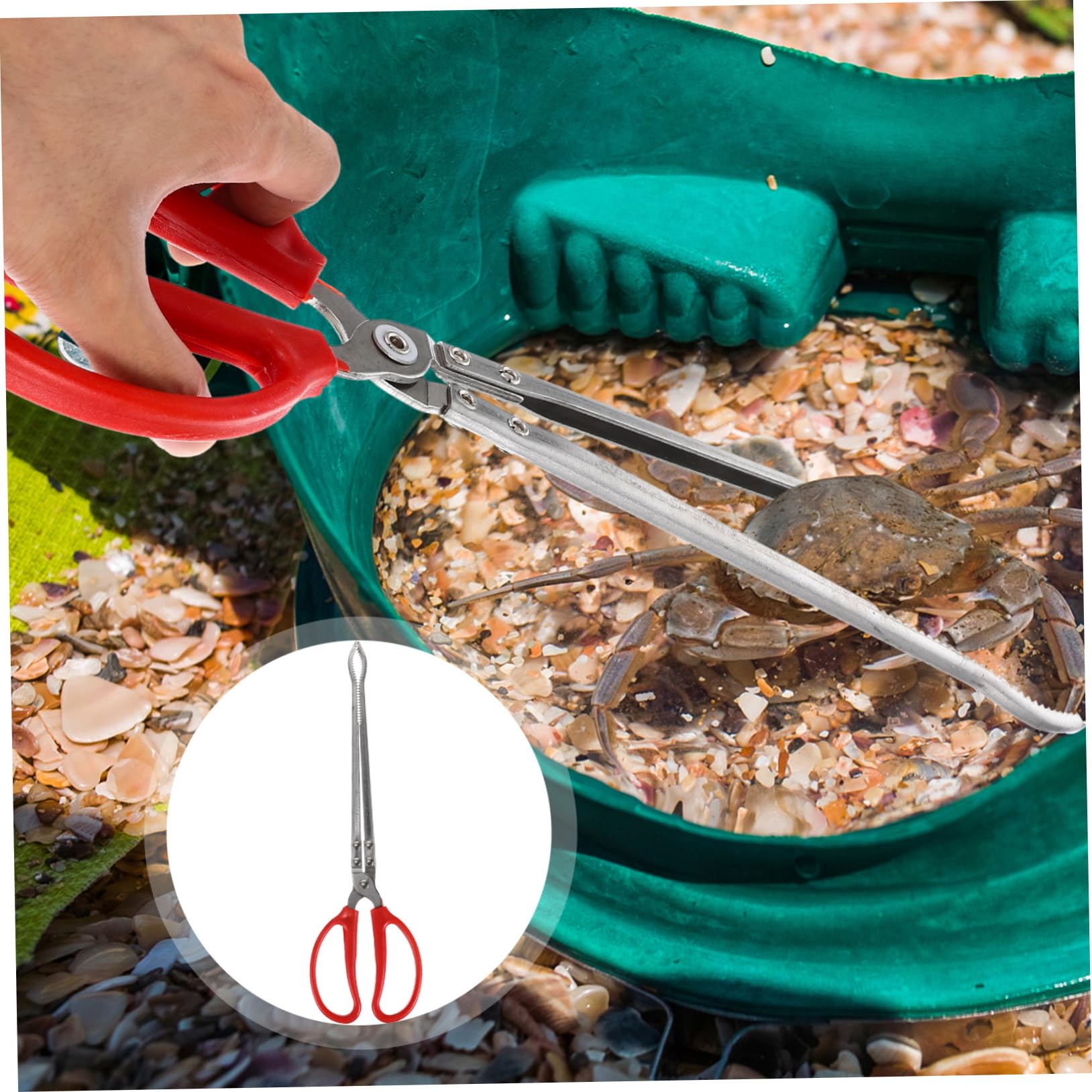 Pinza Multifunción para Pesca de Anguila y Calamar 37.5X10.5 CM Acero Inoxidable y ABS Ligera Antideslizante para Captura en Mar