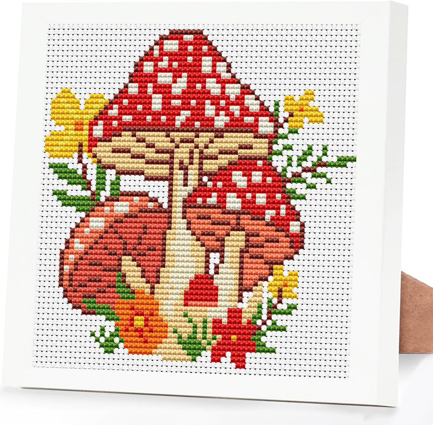 Tiwabb Mushroom Stamped Cross Stitch Kits for Adults Beginners with Frame