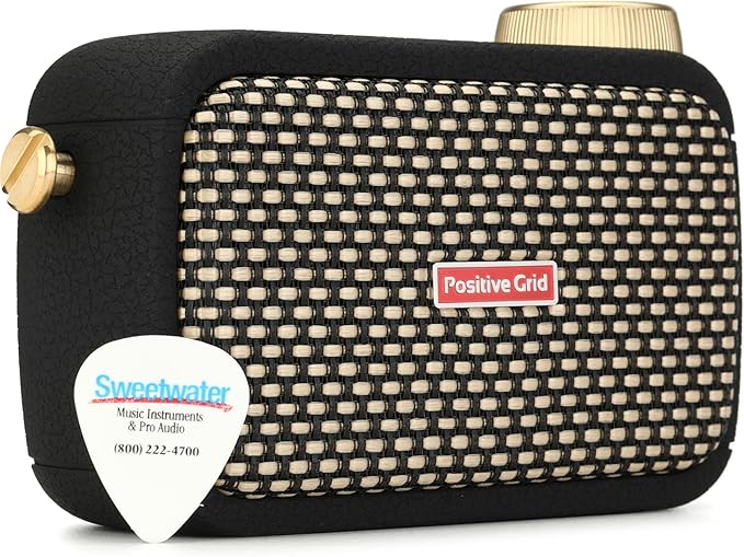 Positive Grid Spark GO