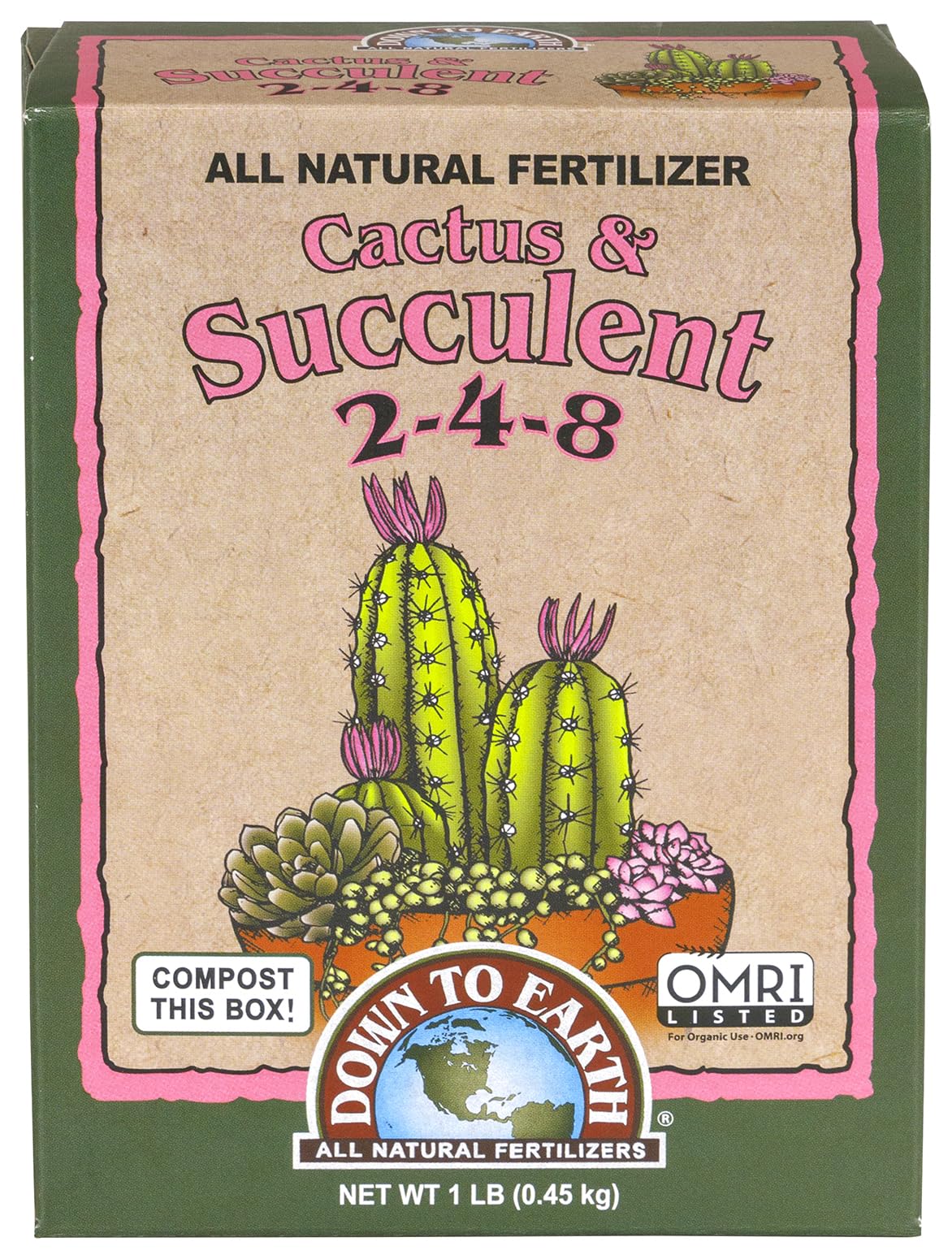 fishbone cactus propagation Shop 'Fishbone Cactus  Ric Rac Cactus' Care and Info
