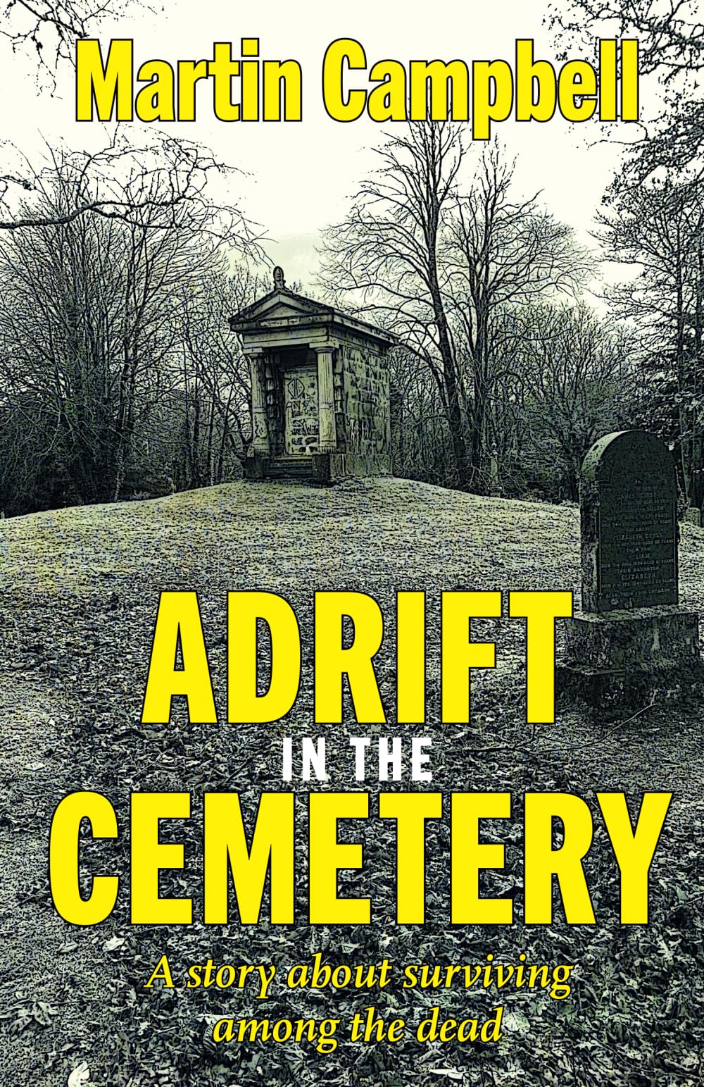 Adrift in the Cemetery: A story about surviving among the dead