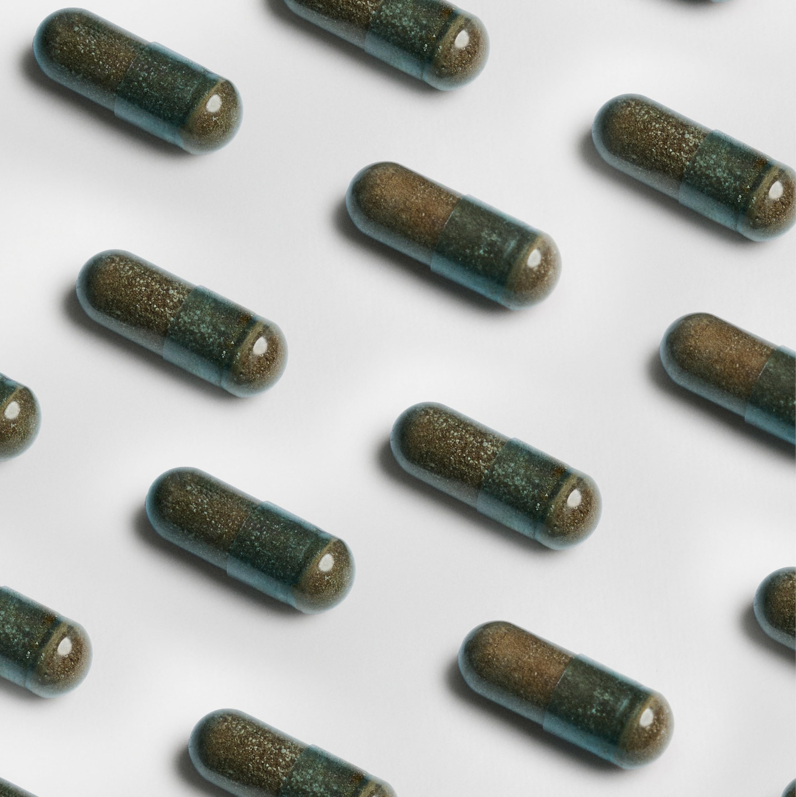 HIFAS DA TERRA - Suplemento de Hongos Optimum Men con Extracto de Hongos Cordyceps y Reishi - Refill 60 Cápsulas