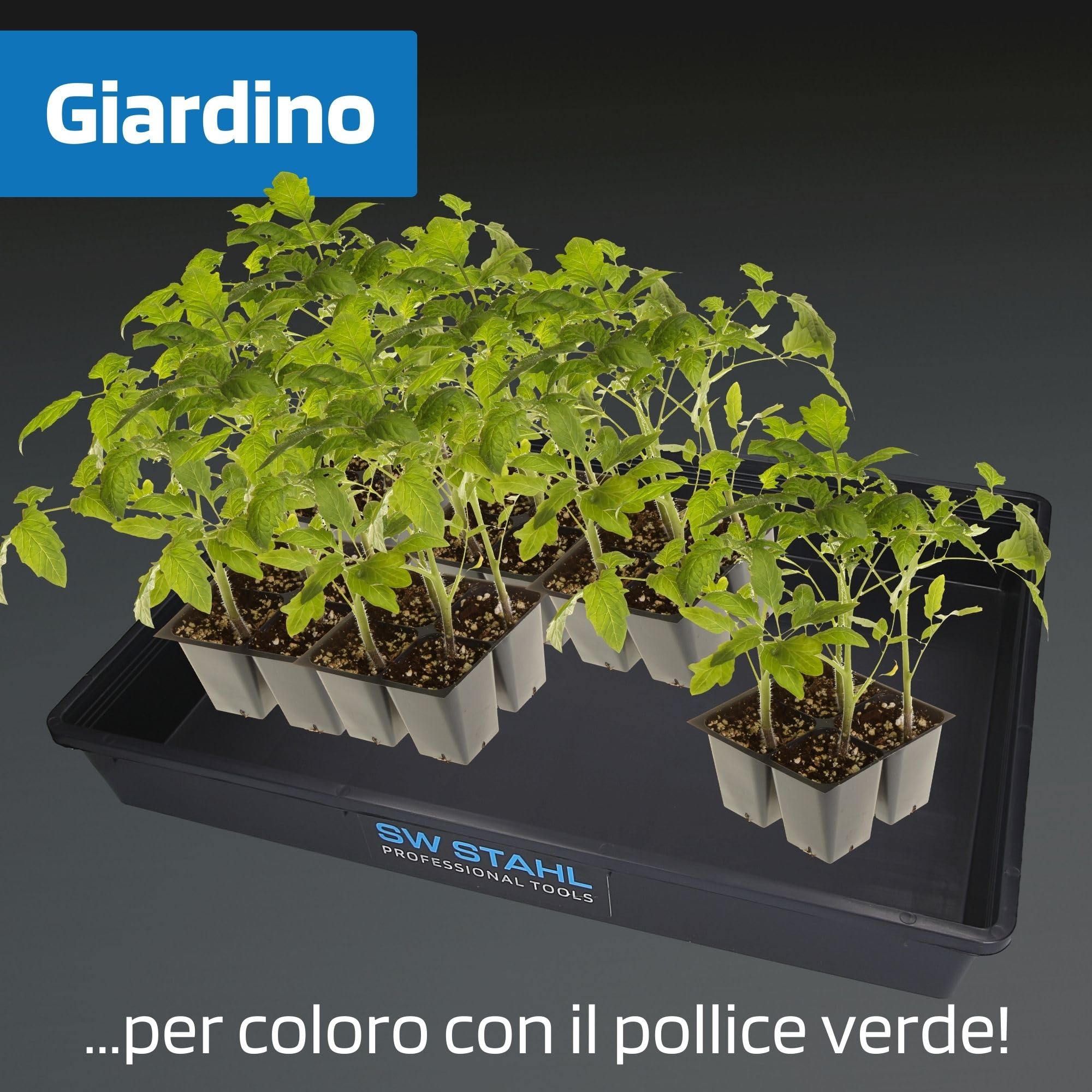 SW-Stahl 07376L Vassoio Universale, 560cm x 430cm x 85cm