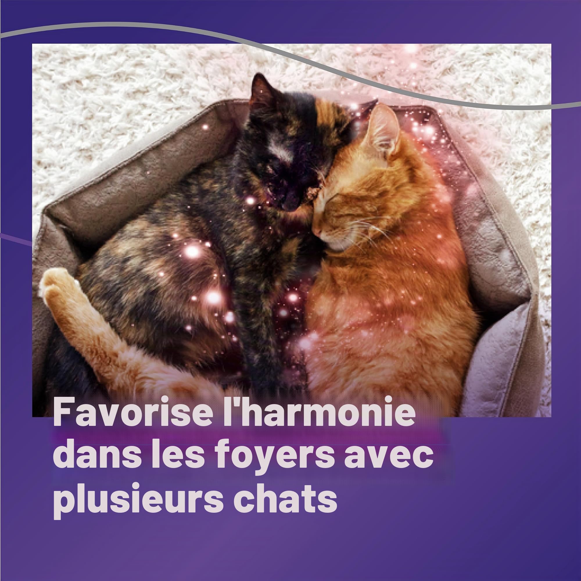 FELIWAY Recharge de phéromones apaisantes optimales améliorées de 30 Jours - Lot de 2