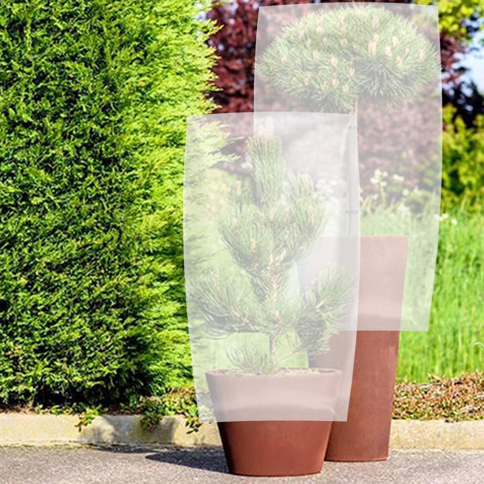 Housses D'hivernage Pour Plantes - 2 Protections 80x120 Cm Tissu Non Tissé - Contre Le Gel, Le Vent Et La Neige - Réutilisables
