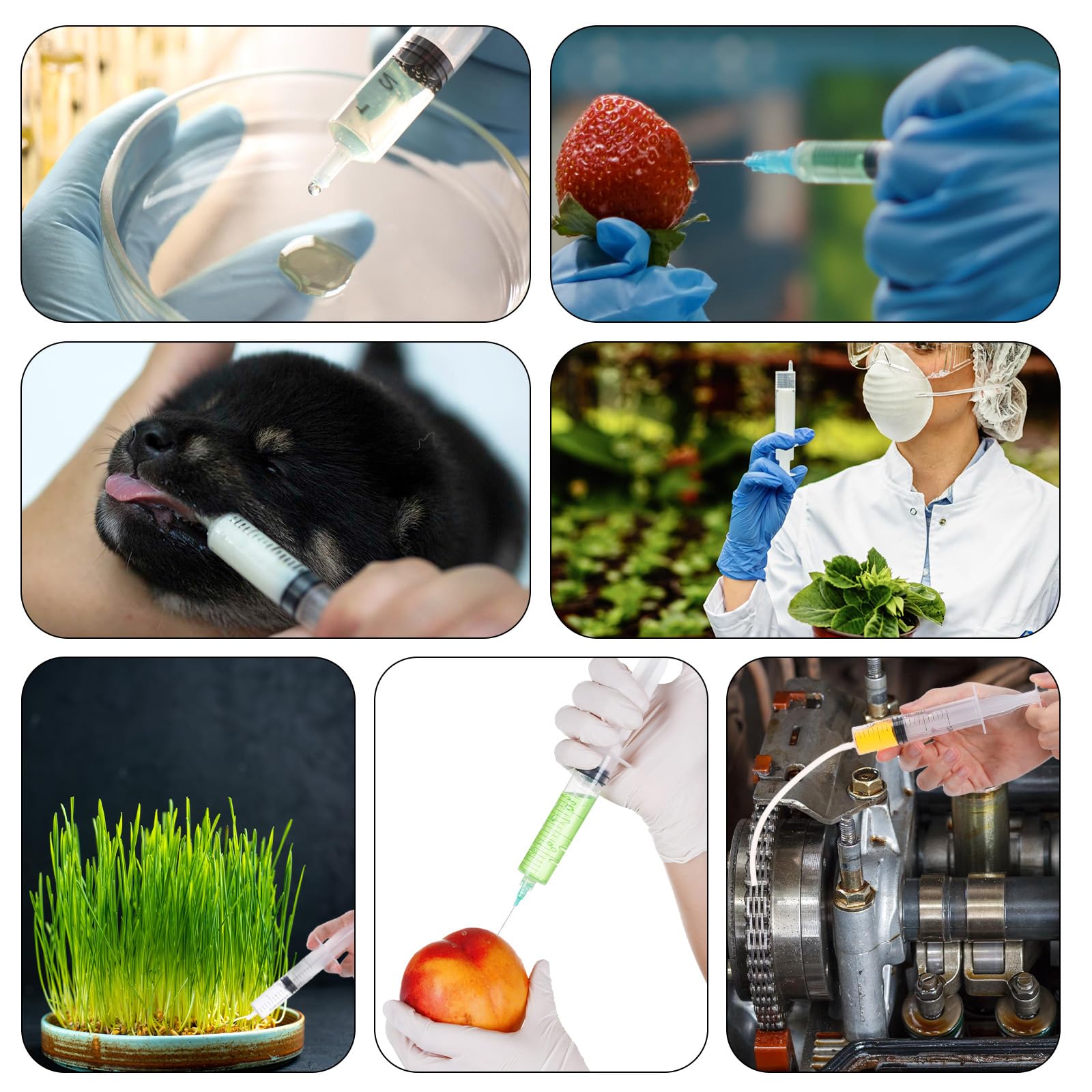 6 strzykawek z wężem, 1 ml, 5 ml, 10 ml, 20 ml, 30 ml, 60 ml, strzykawki z tworzywa sztucznego, do laboratoriów naukowych, karmienia zwierząt domowych, delikatne dozowanie od zwierząt domowych