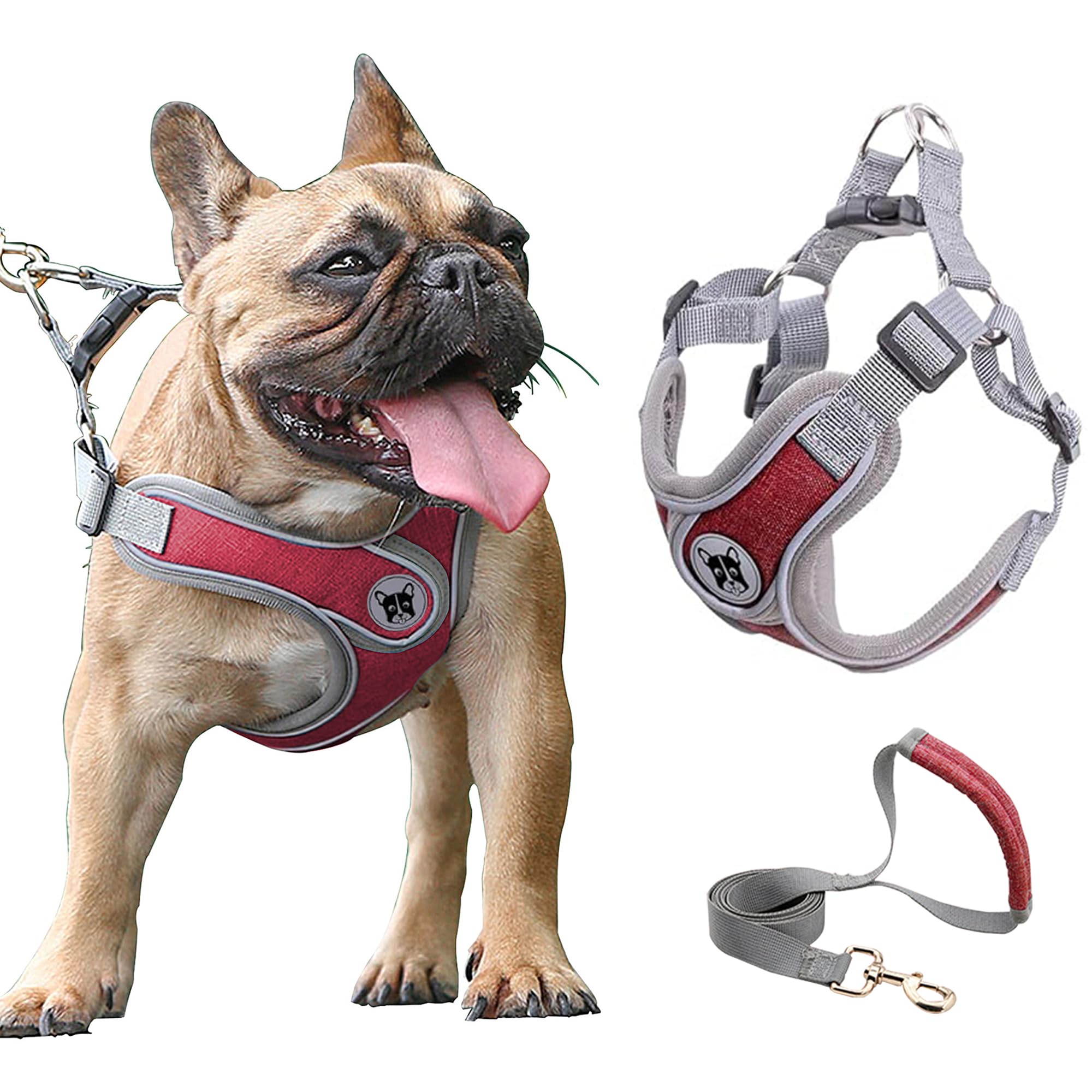 Small Dog Harness and Leash Set,No Pull Adjustable Step in Soft Mesh Vest Harness,Easy Walk Reflective Pet Harness with Padded Handle for Walking