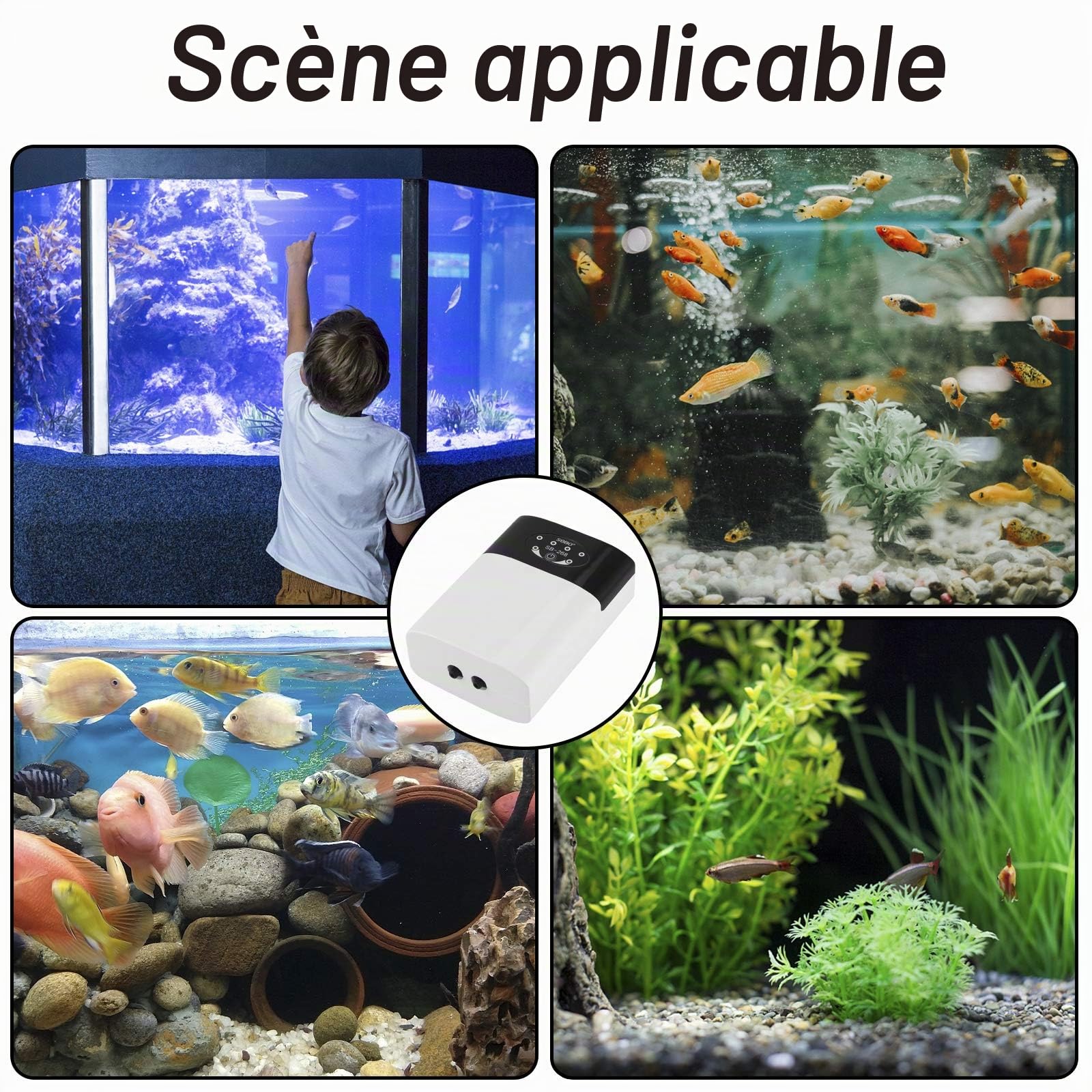 Pompe à Air d'Aquarium Portable USB, Bulleur Silencieux, Oxygène, Débit 2 * 3L/Min, 2 Sorties d'Air