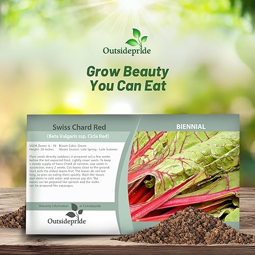 Miniatura 4 de Outsidepride Semillas de acelgas rojas para plantar verduras y microverdes, 1000 piezas de semillas vegetales bienales vibrantes, sabrosas y