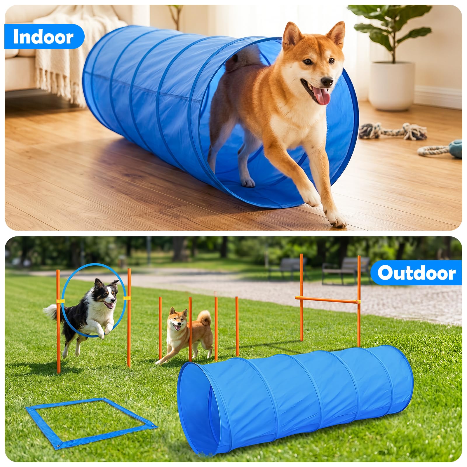 Amazon.com : XiaZ Dog Agility Course Backyard Set, Dog Obstacle