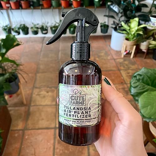 Miniatura 6 de Cute Farms Tillandsia - Fertilizante para plantas de aire, fórmula suave de uso semanal, nutrientes formulados para plantas de aire (botella de