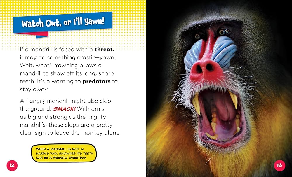 Mandrill Energize マンドリル Mandrill – Energize – Vinyl (LP, Album), 1982 [r1685249