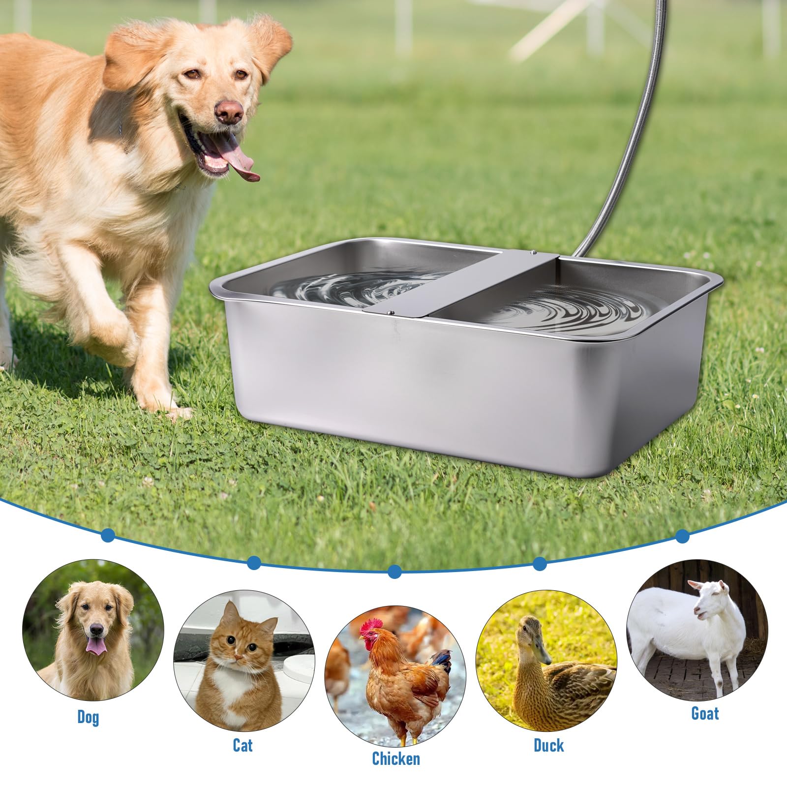 Bebedero Automático para Perros de 25 litros en Acero Inoxidable Extragrande, Ideal para Perros de Raza Grande, Gatos, Gallinas y Todo Tipo de Ganado