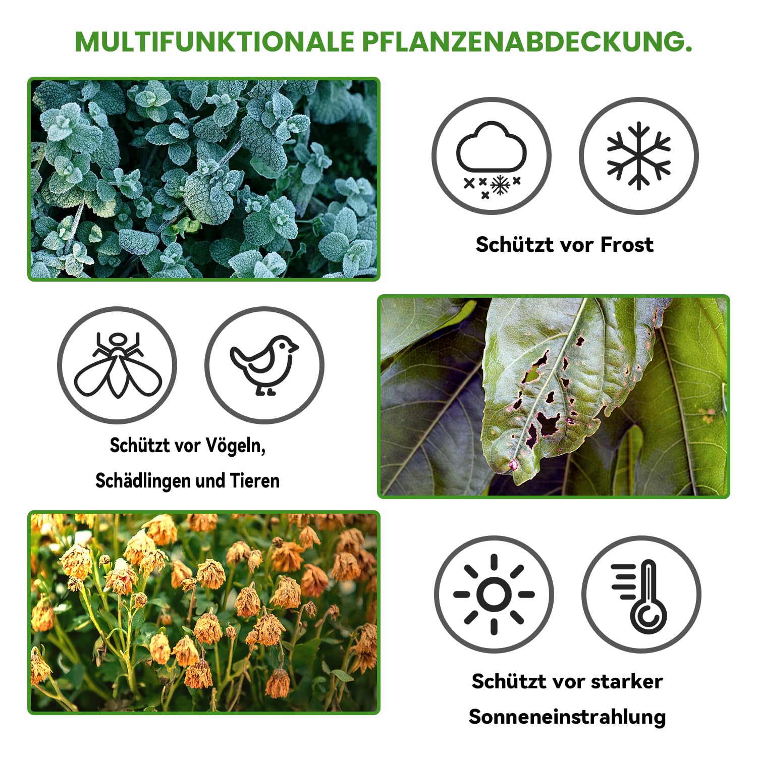 WISD 2 x 10 m in pile da giardino per piante, 30 g/mÂ², protezione