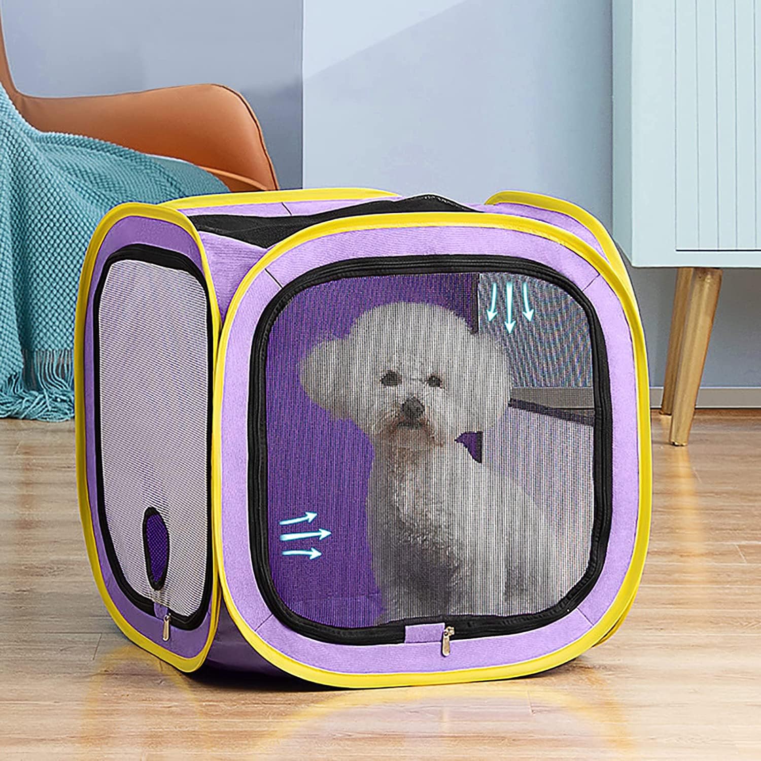 Amazon.co.jp: ペット犬乾燥ボックスポータブルペットドライヤーケージ 