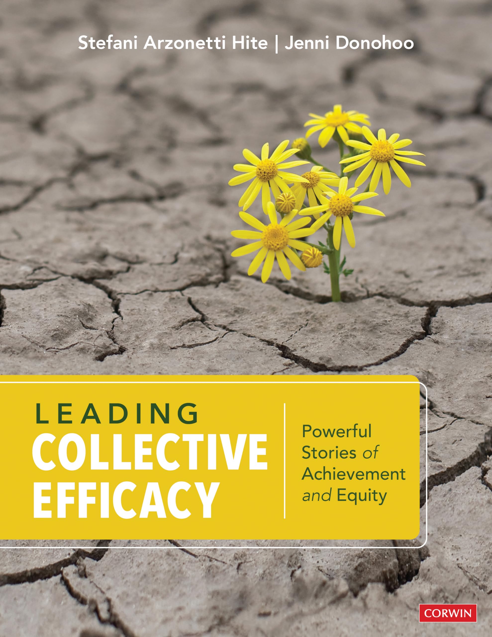 Leading Collective Efficacy: Powerful Stories of Achievement and Equity Paperback – Import, 4 December 2020
