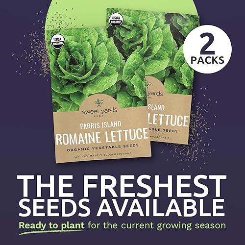 Miniatura 5 de Semillas de lechuga romana orgánica 'Parris Island' - Dos paquetes de semillas! - Más de 1,000 semillas orgánicas USDA de polinización abierta sin