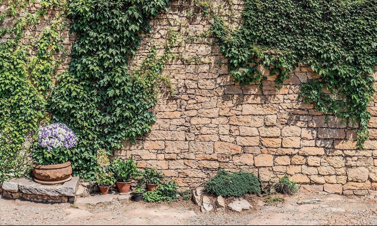 Mural Gardens Rustic Ivy Stone Wall Garden Mural Curtain Waterproof Outdoor Tapestry Walled Garden Backdrop Fence Decor Panel W300Cm H180Cm from B&Q