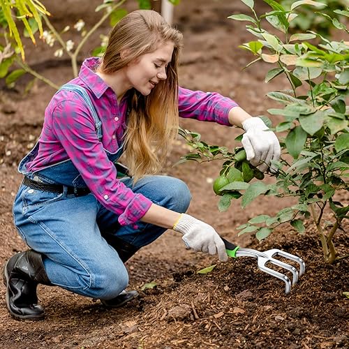 Miniatura 4 de 12 piezas de rastrillo de mano para jardín, mini rastrillo para cultivador de jardín de alta resistencia, rastrillo pequeño de 11 pulgadas para