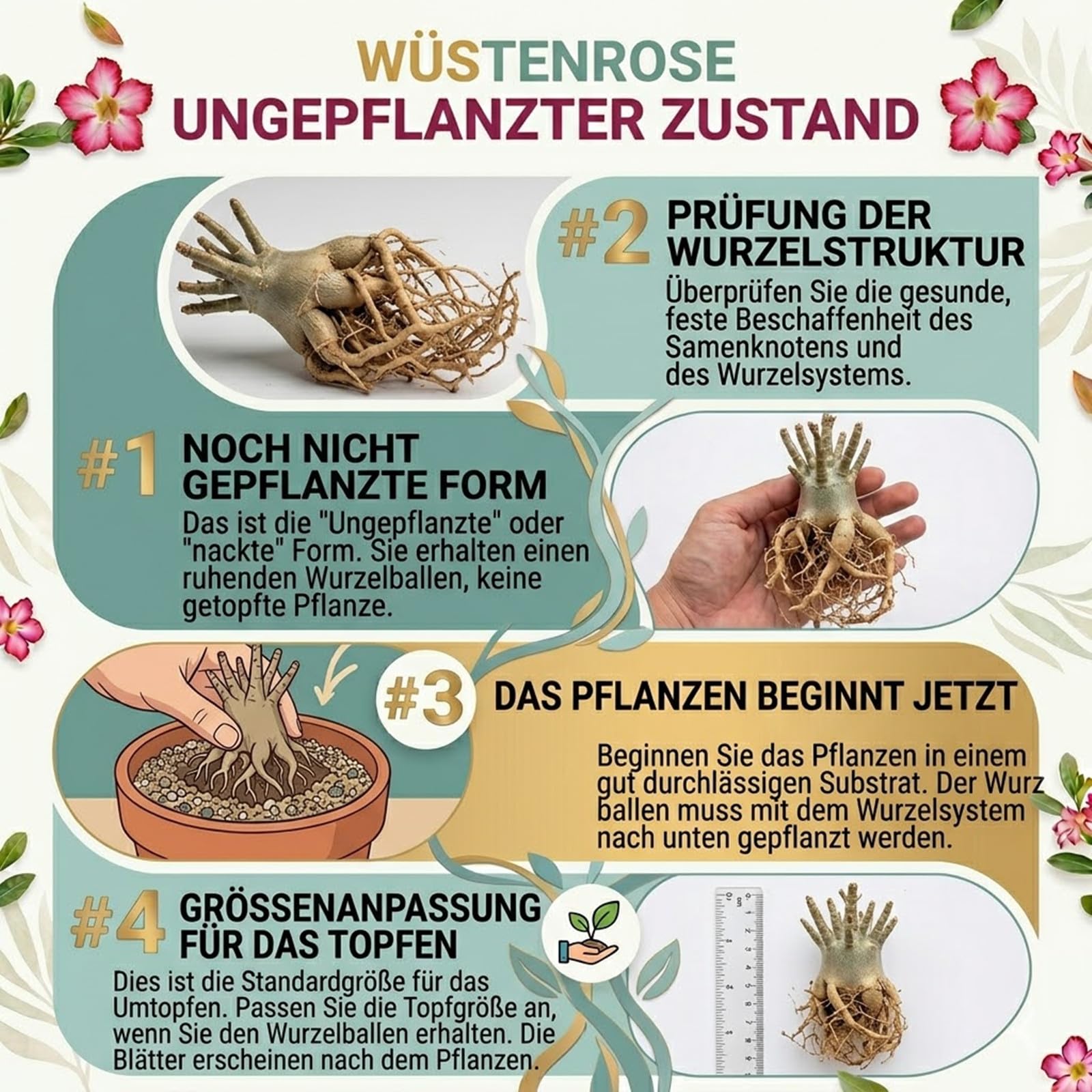 Exotisch-elegante Wüstenrose – meisterhaftes Kunst-Design, das exklusive Geschenk für