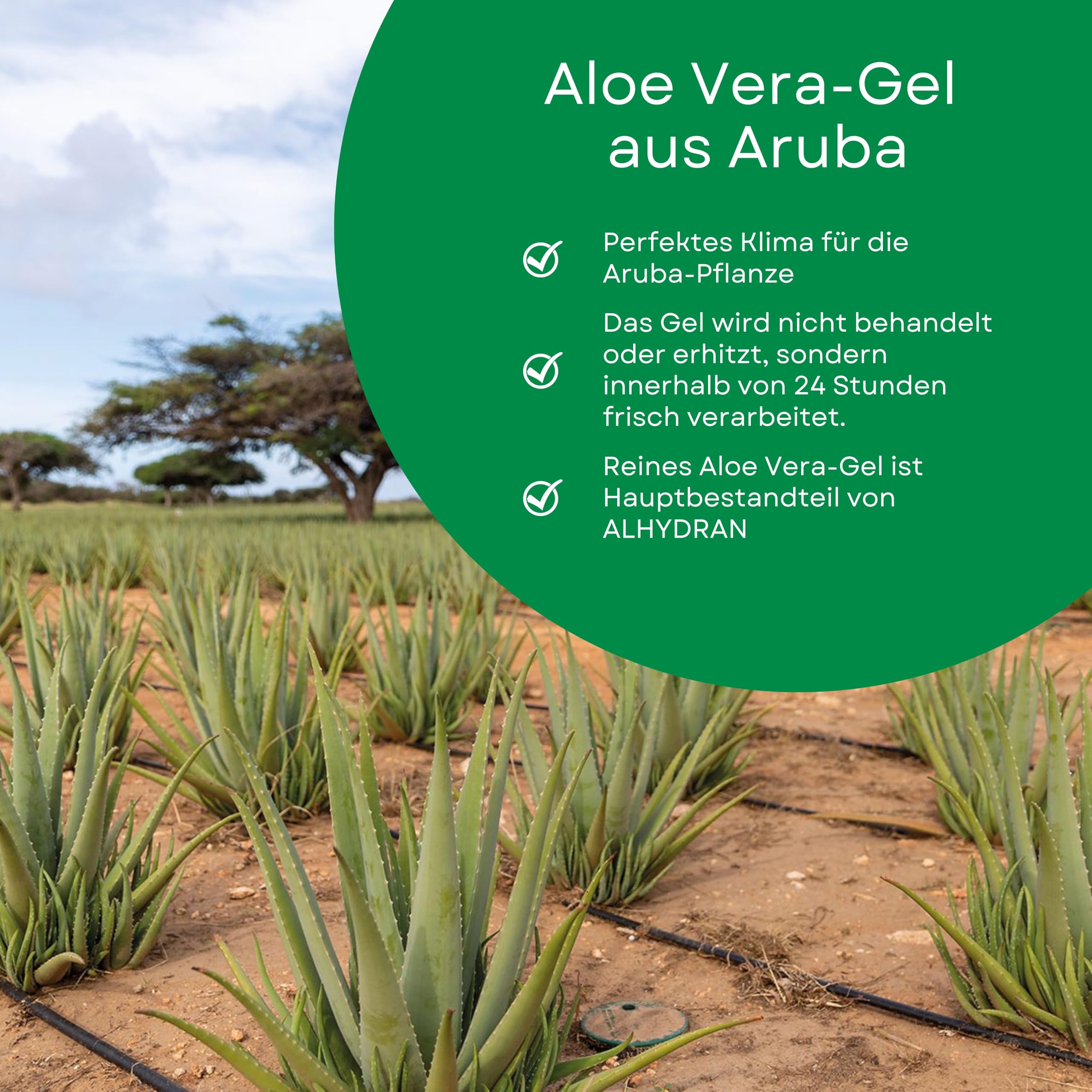 Narbencreme - 30 ml - Aloe Vera-Gel - Schützt empfindliche Haut vor der Sonne - Parabenfrei - Parfümfrei - Hormonfrei - Für alle Hauttypen - Bewährte Wirksamkeit