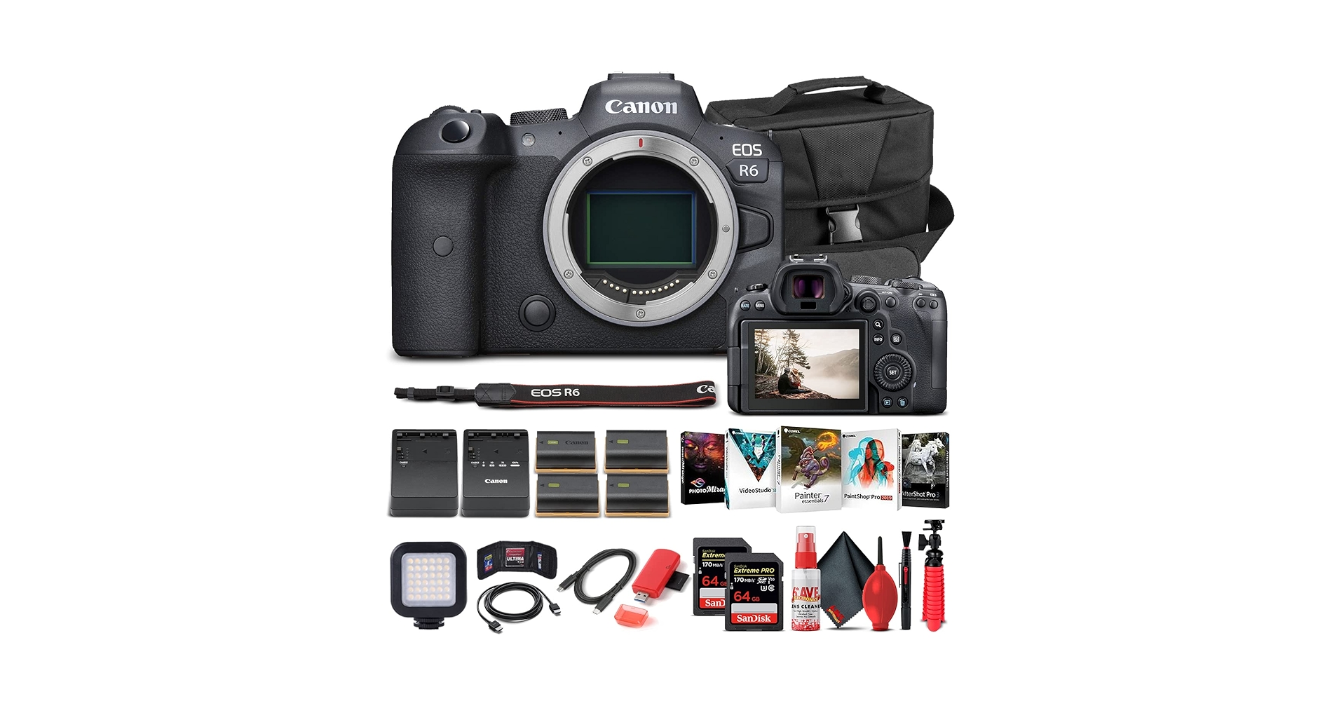 Amazon.com : Canon EOS R6 Mirrorless Digital Camera (Body