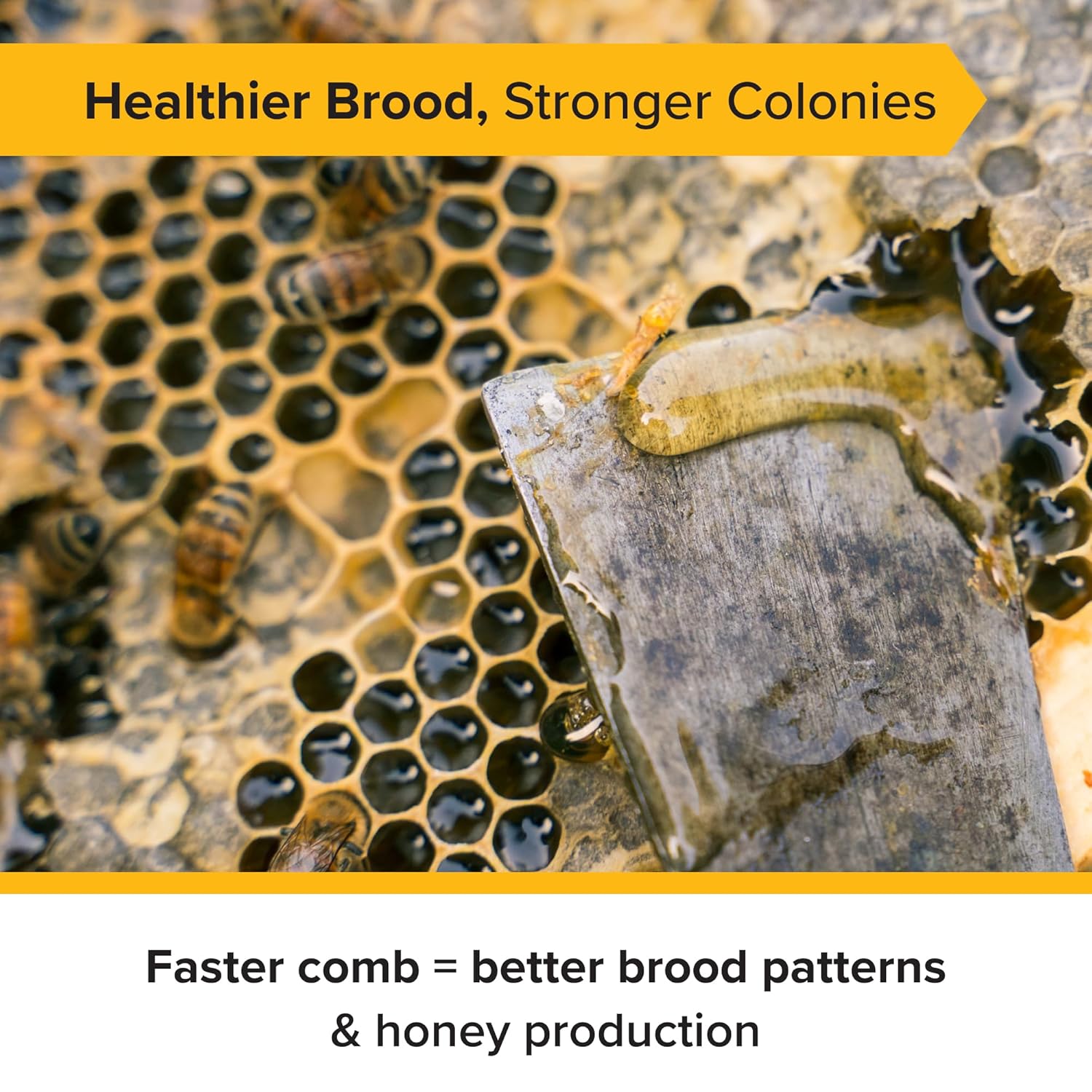 Mann Lake 5 5/8" Waxed Black Rite-Cell Foundation Sheets, Made in the USA, BPA-Free, Food-Grade, Beeswax-Coated for Beehive Frames, Fits 6 5/8" Hive Bodies, Durable, Wax Moth Resistant, 100-Pack