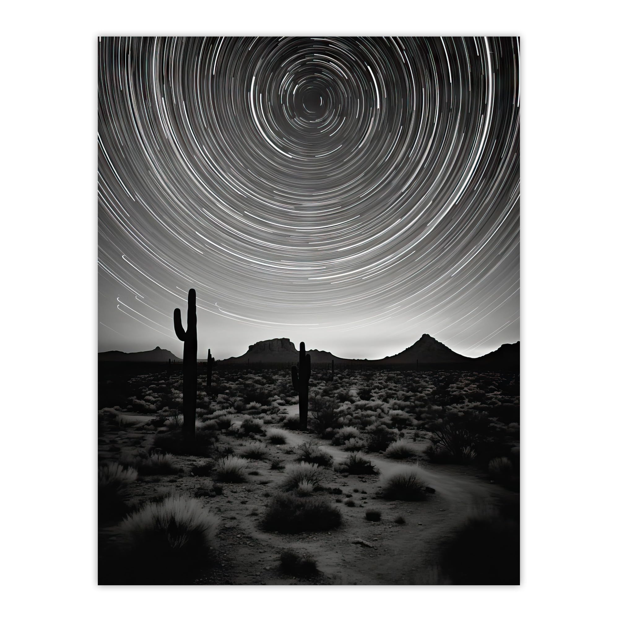 Artery8 The Milky Way Time Lapse Star Trails Stars Tracing Their Journey Across Black White Cactus Extra Large XL Wall Art Poster Print