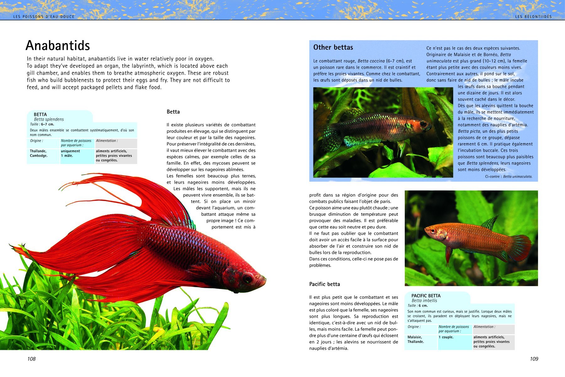 Aquariums: The Complete Guide to Freshwater and Saltwater Aquariums